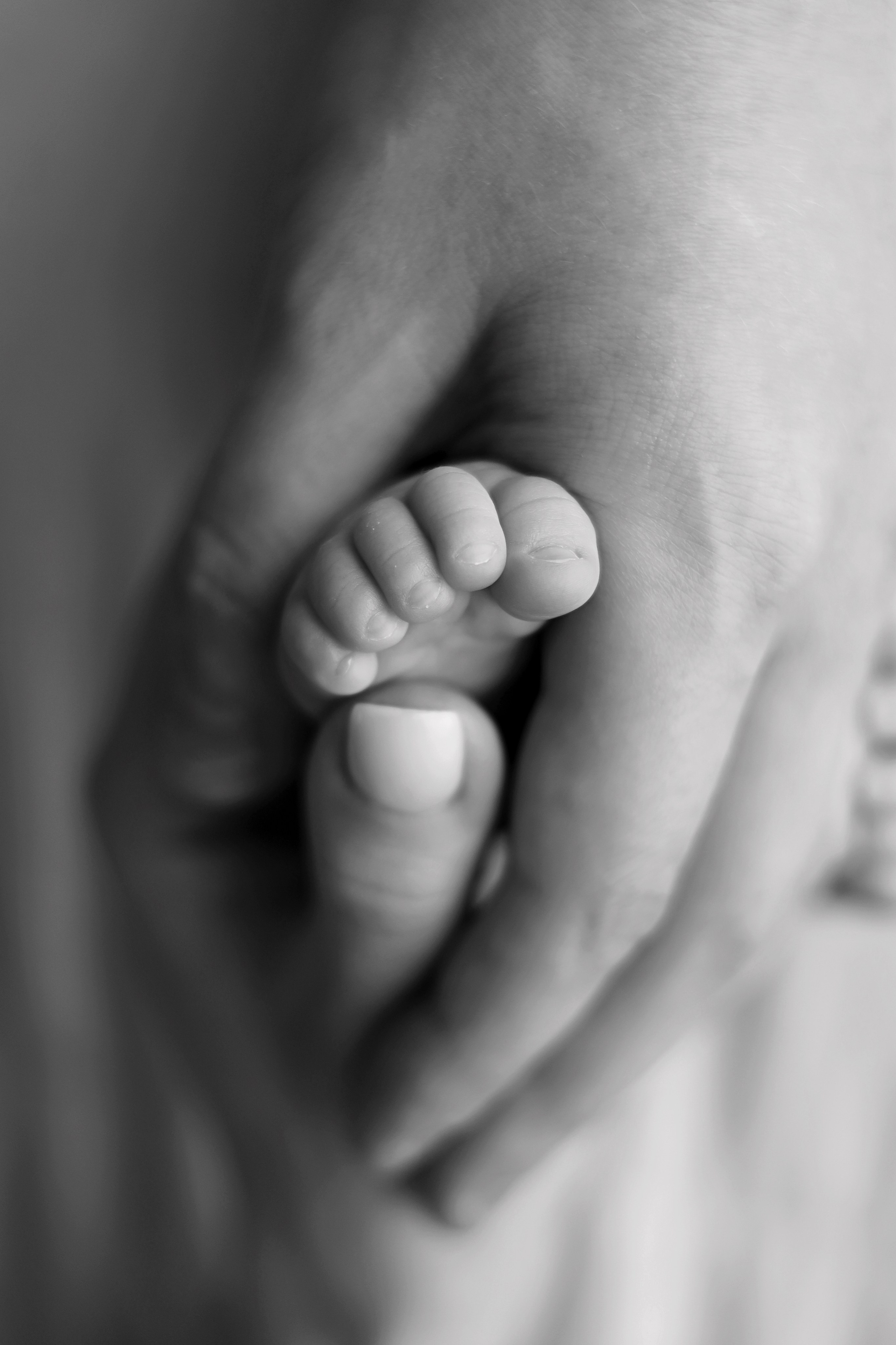 Съемка Ивана, максимальный пакет со стилем natural. Фотограф новорожденных Москва. Ньюборн фотограф Москва