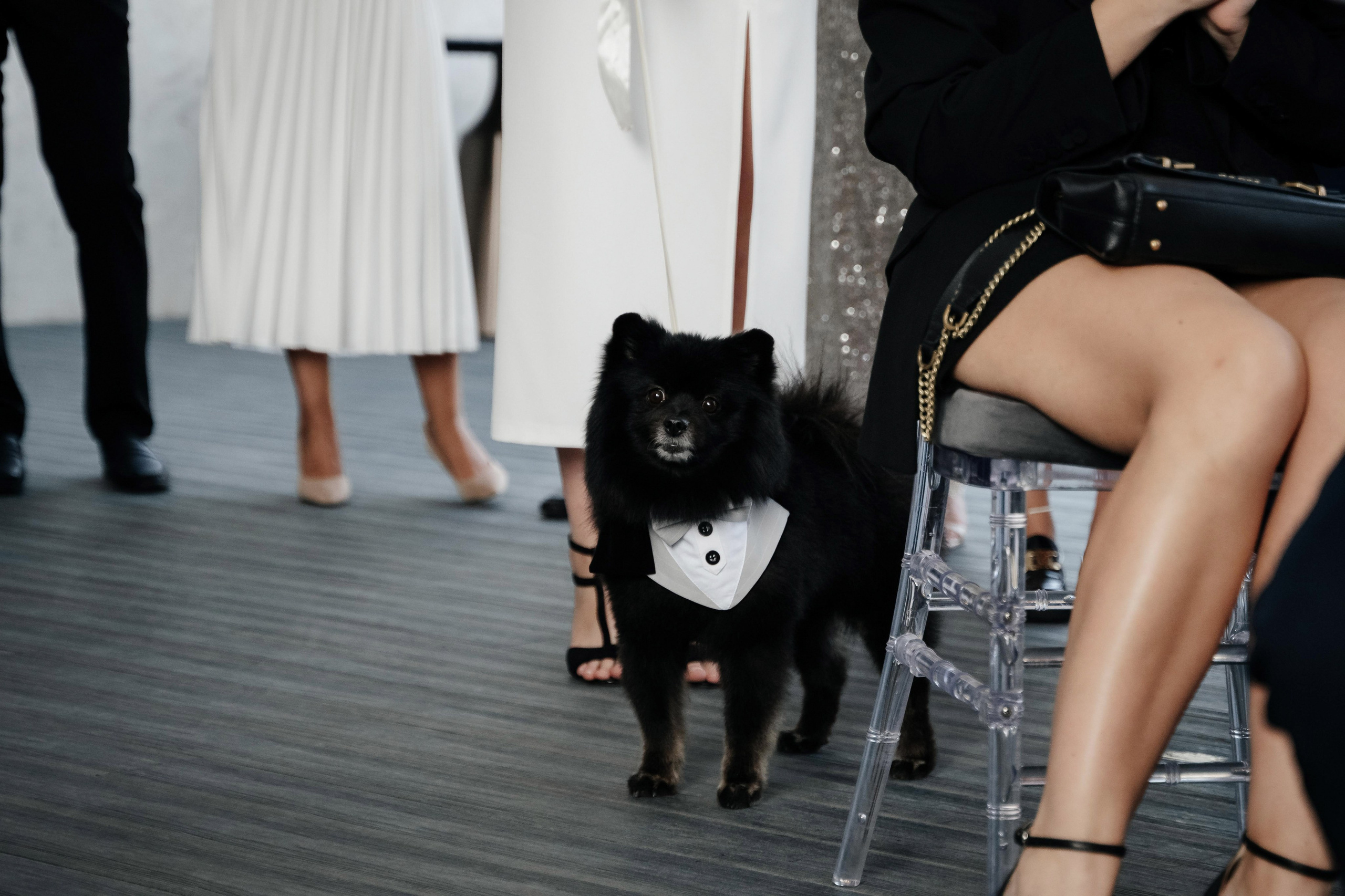 Антон + Валерия. Свадебный фотограф Владимир Рябков