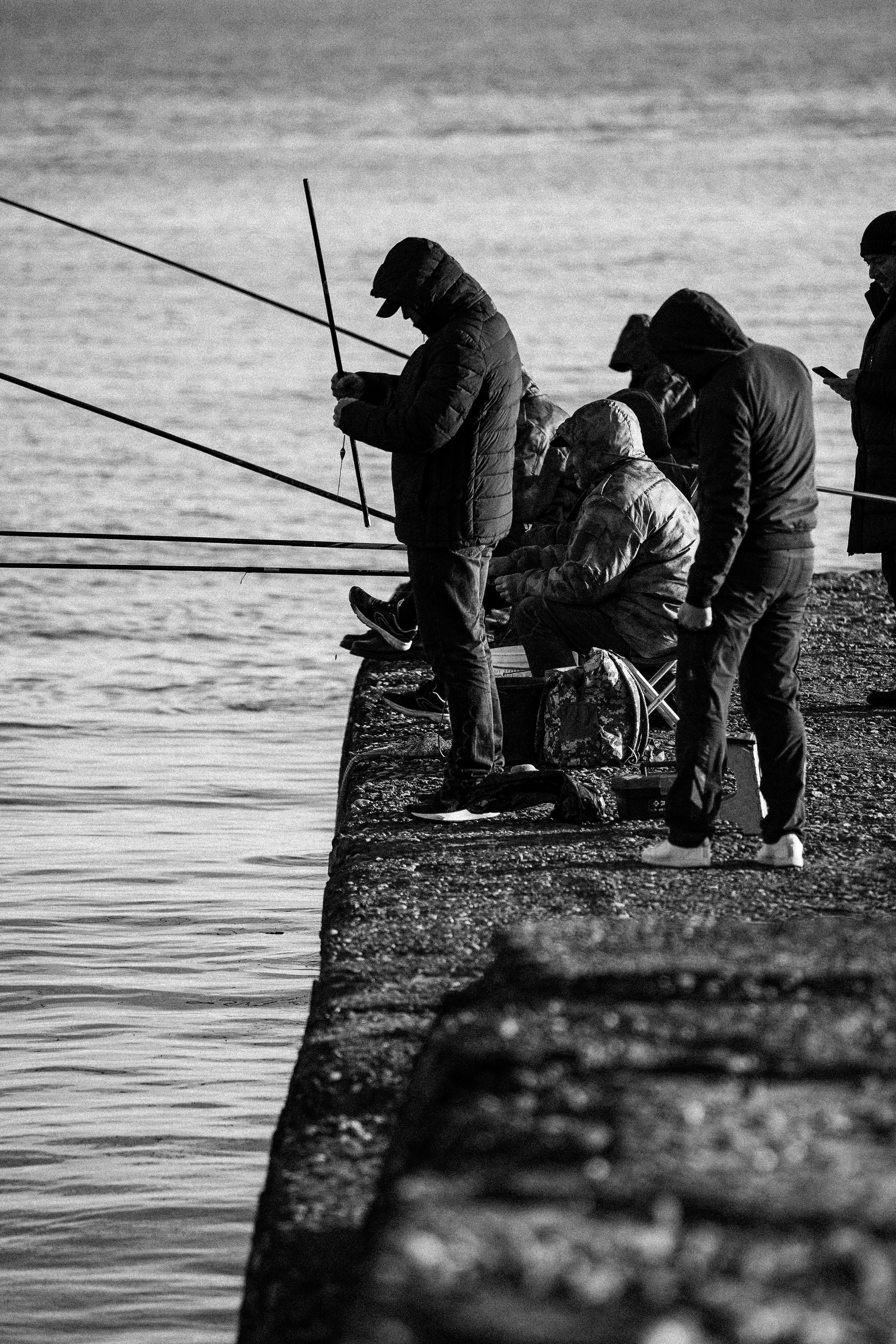 Заставки. Главная