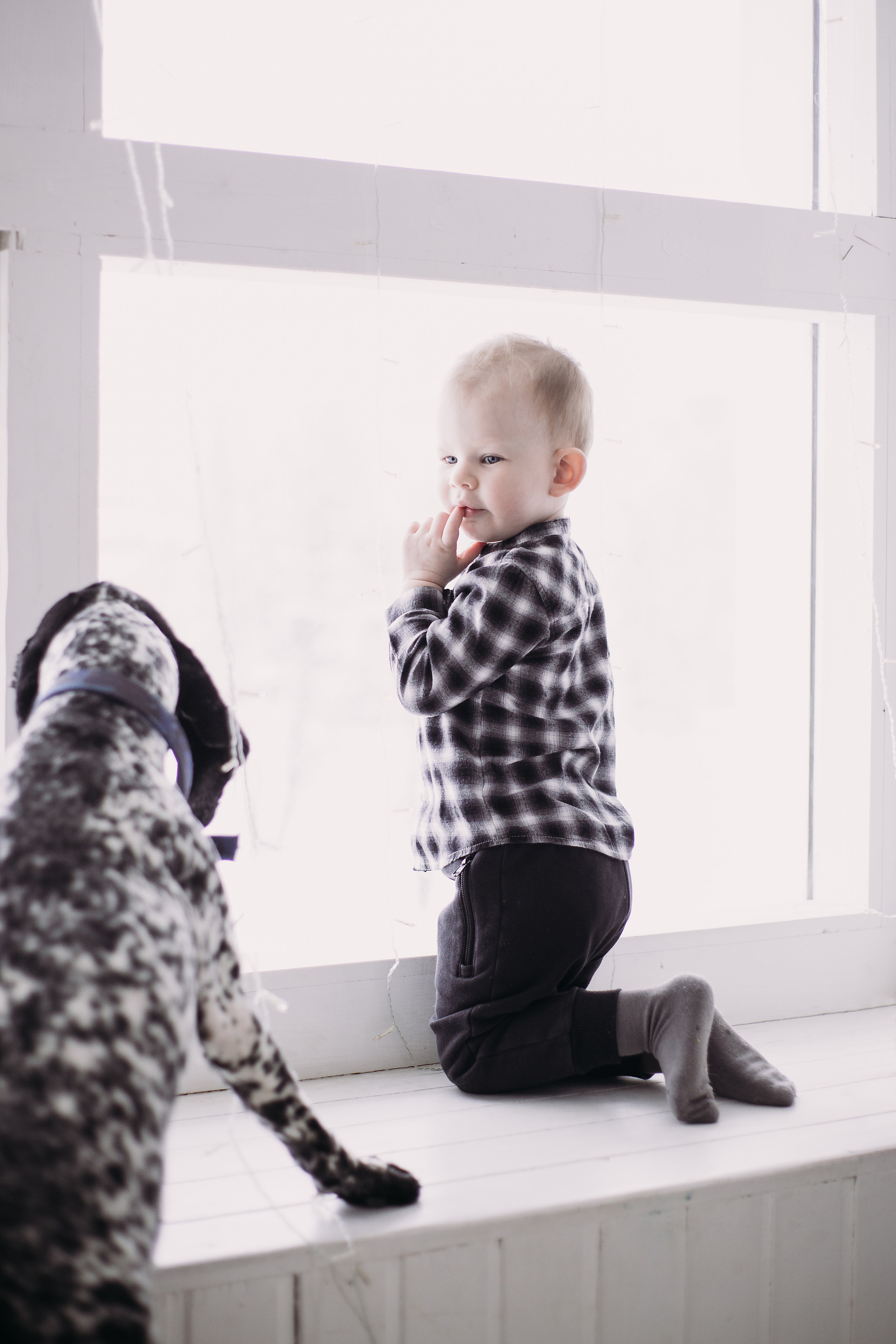 Дети и собаки. Фотограф Юлия Говор