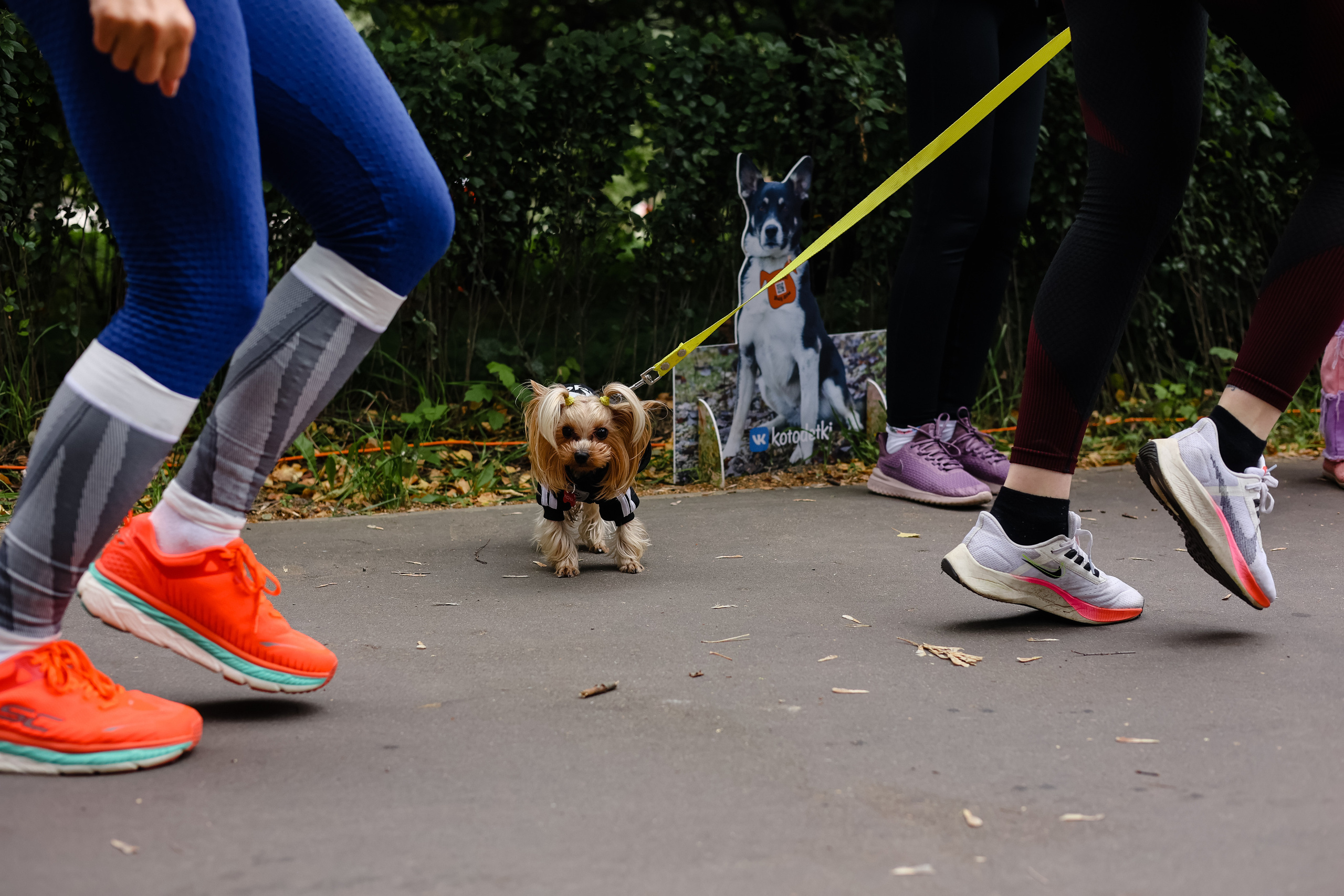 Репортаж. Фотограф Юлия Говор