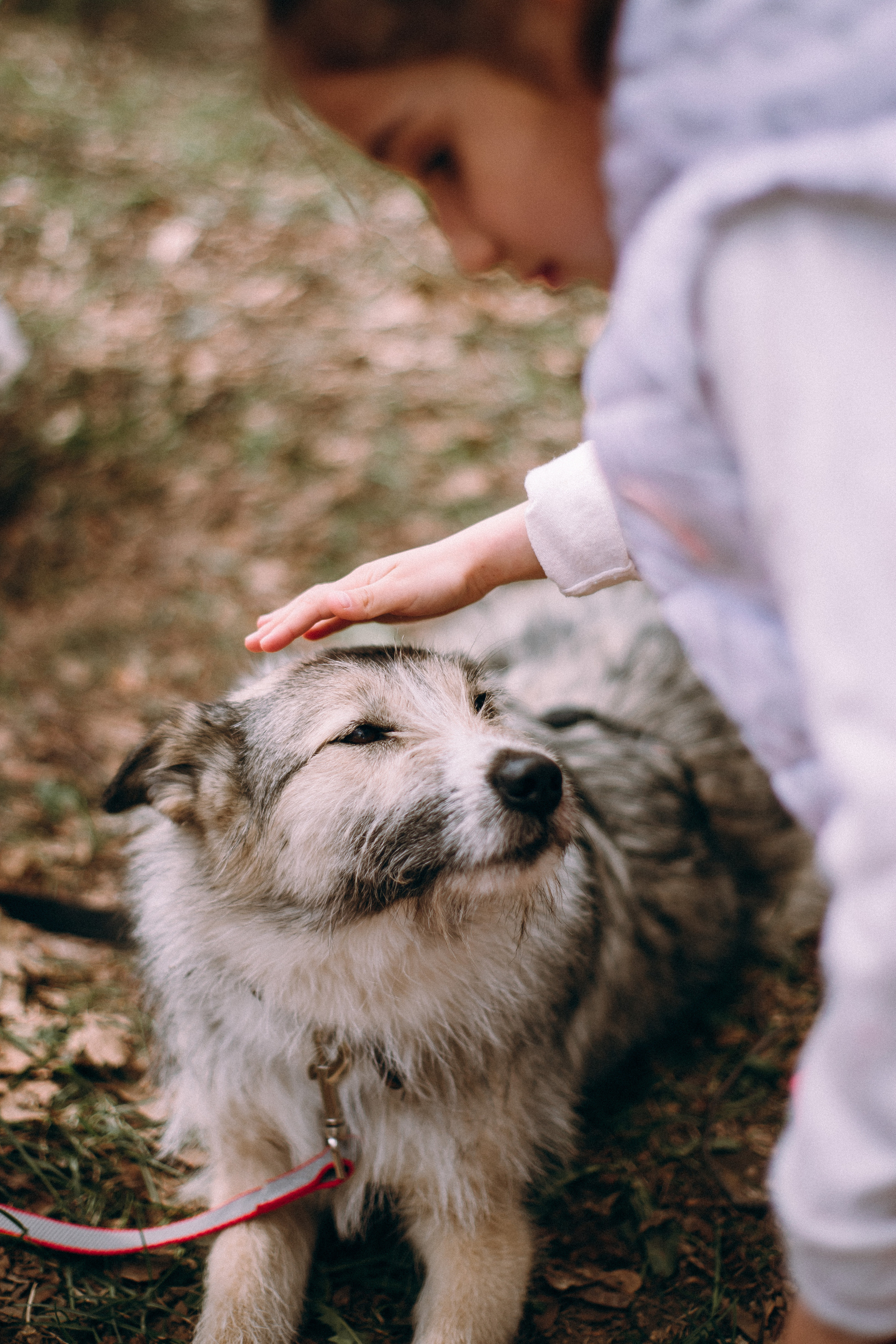Репортаж. Фотограф Юлия Говор