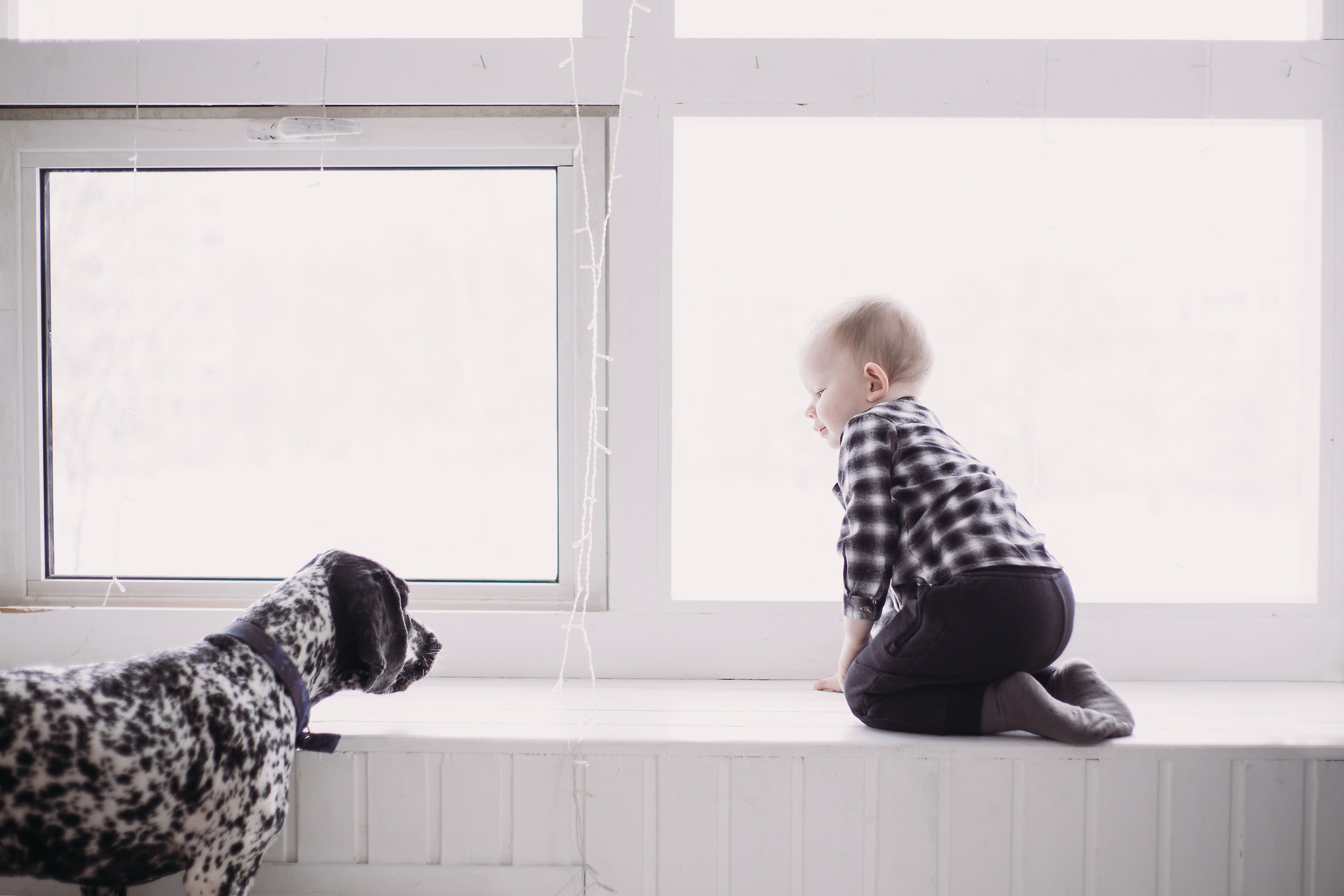 Дети и собаки. Фотограф Юлия Говор