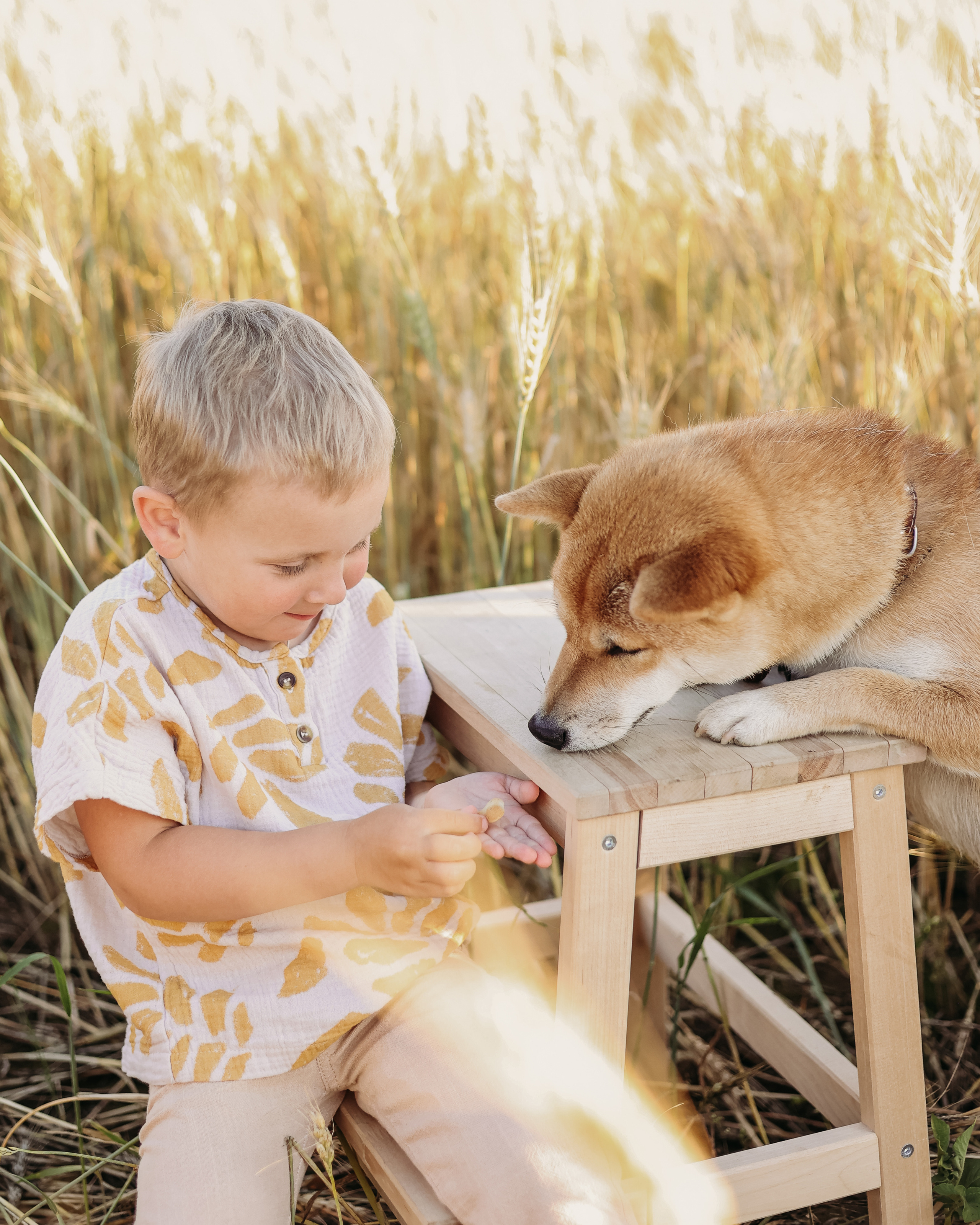 Дети и собаки. Фотограф Юлия Говор