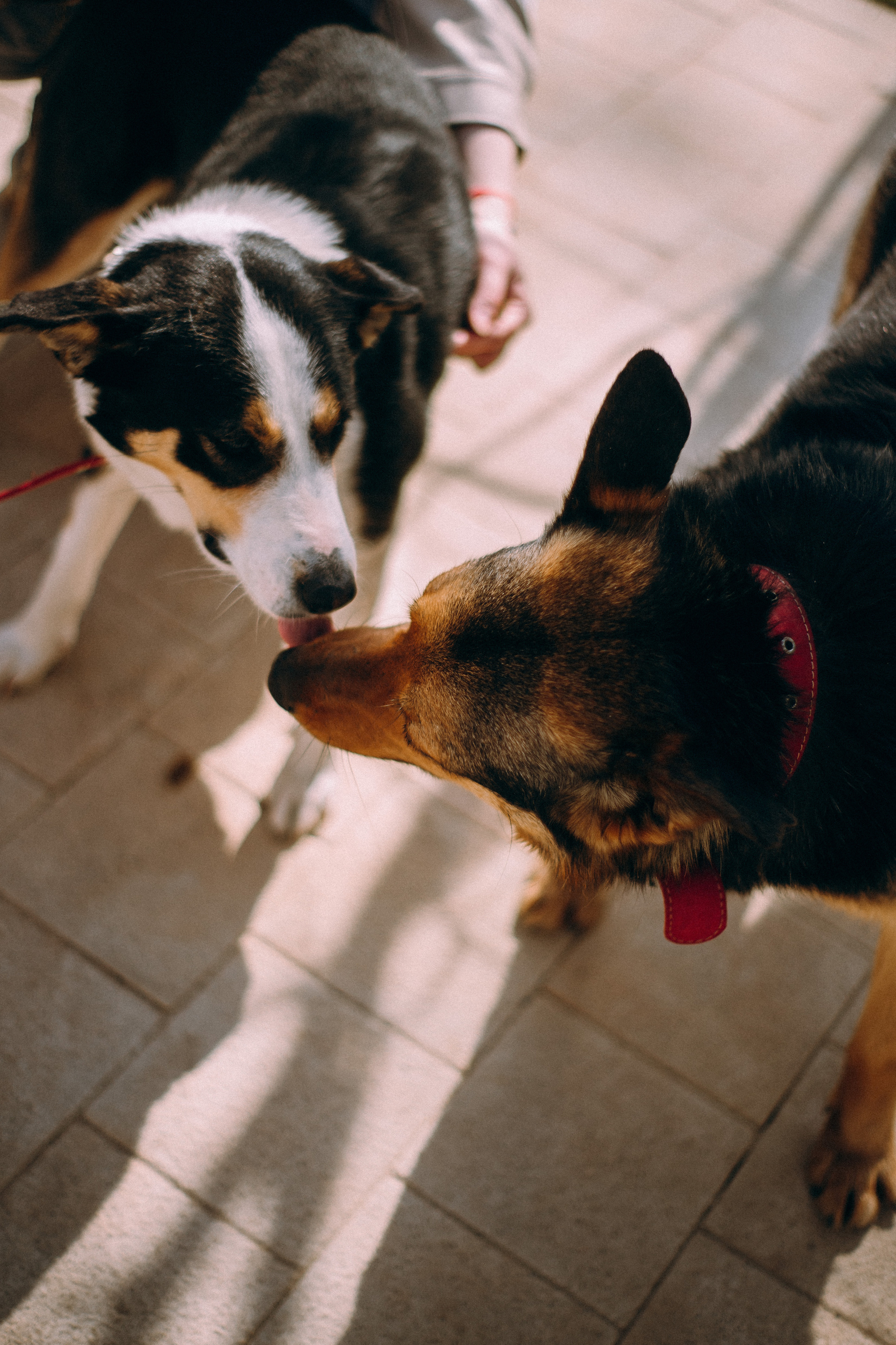 Репортаж. Фотограф Юлия Говор