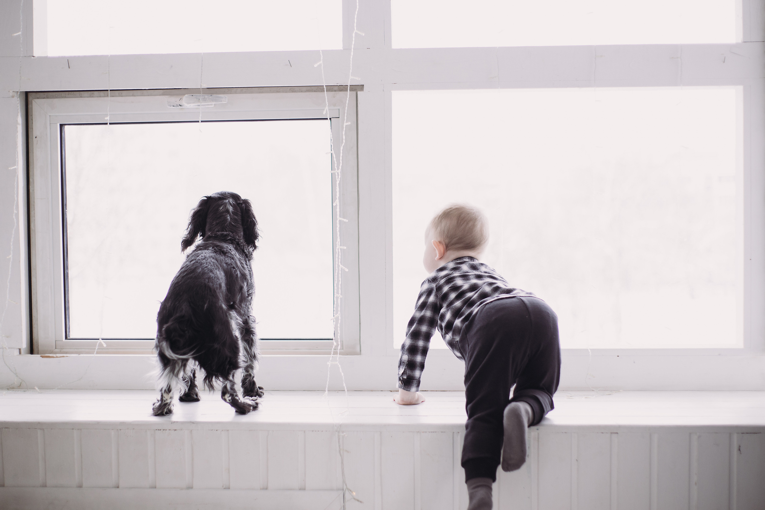 Дети и собаки. Фотограф Юлия Говор