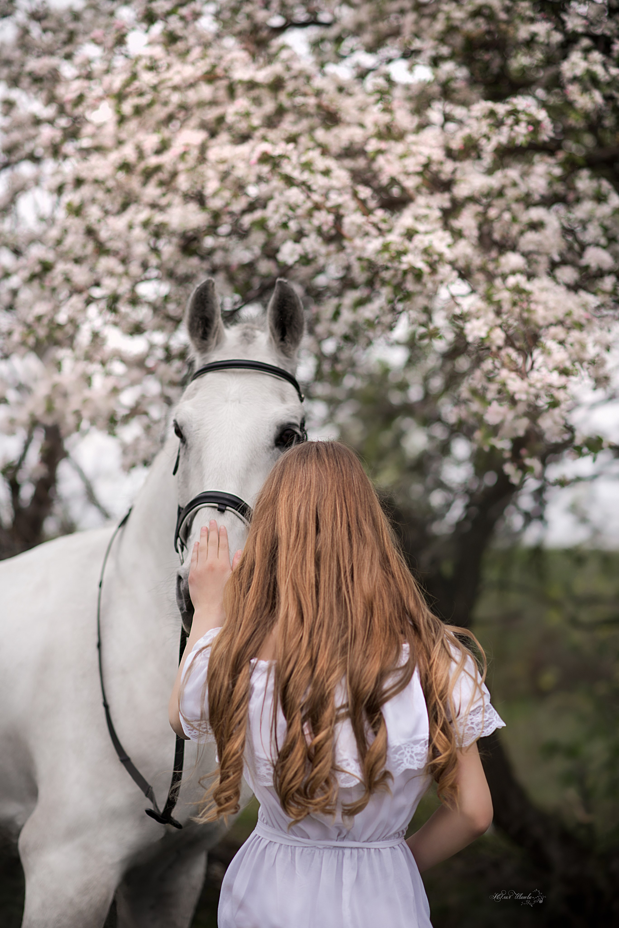 Девушки и Гипноз. Конный фотограф в Саратове Юлия Иванова