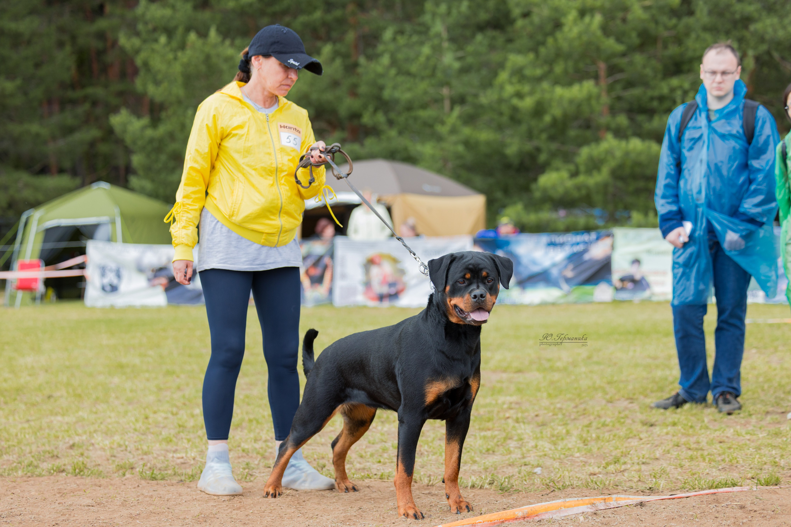 Тверь ротвейлеры 5-6.07.2025. Фотограф-анималист Юлия Германика