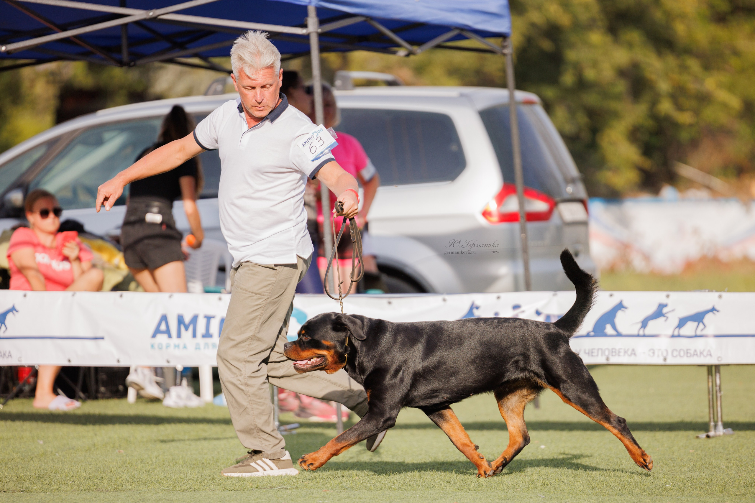 Анапа ротвейлеры 14-15.09.2024. Фотограф-анималист Юлия Германика