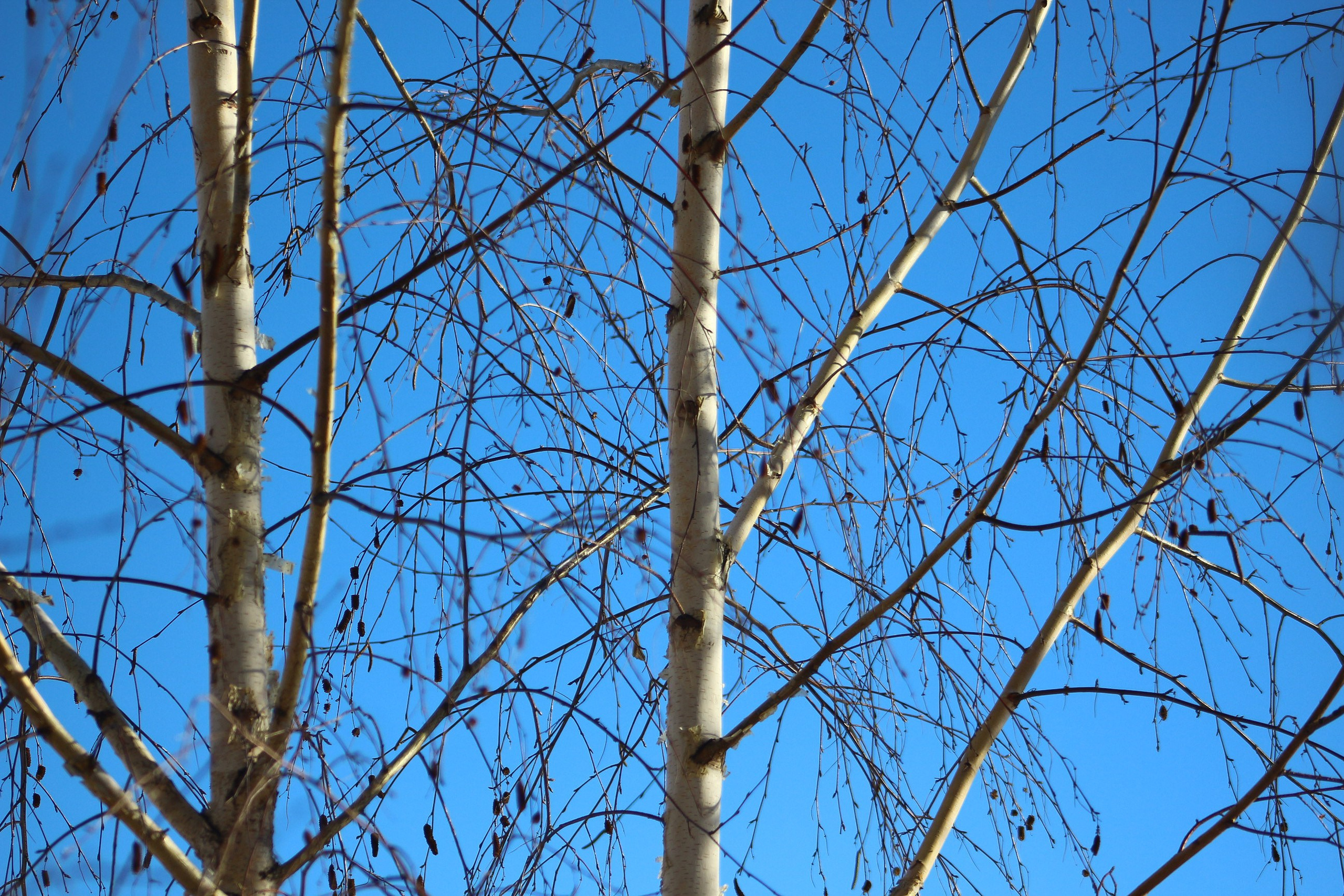 Пейзажи. Фотограф из Донецка Александр Турко