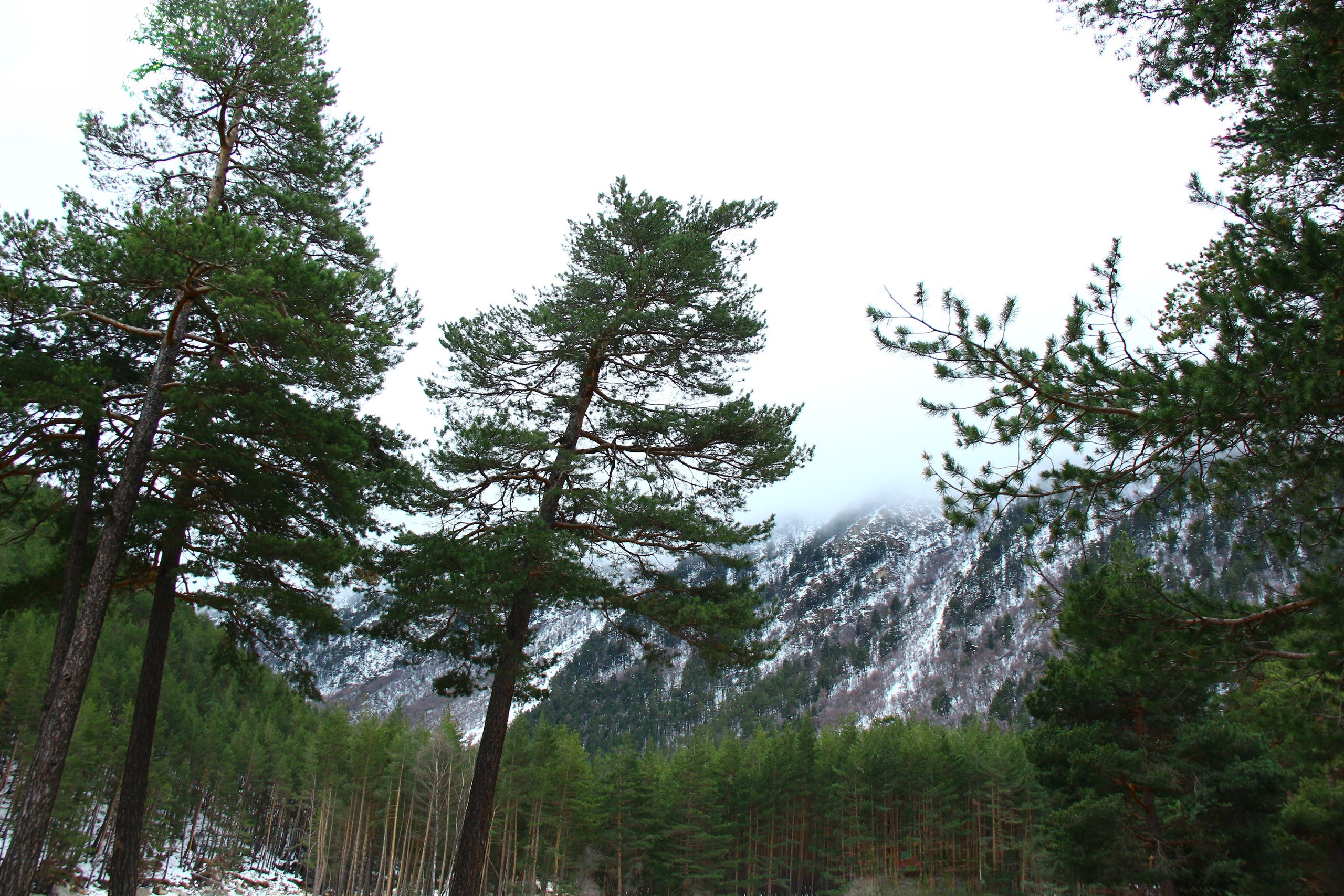 Лучше гор могут быть только горы…. Фотограф из Донецка Александр Турко