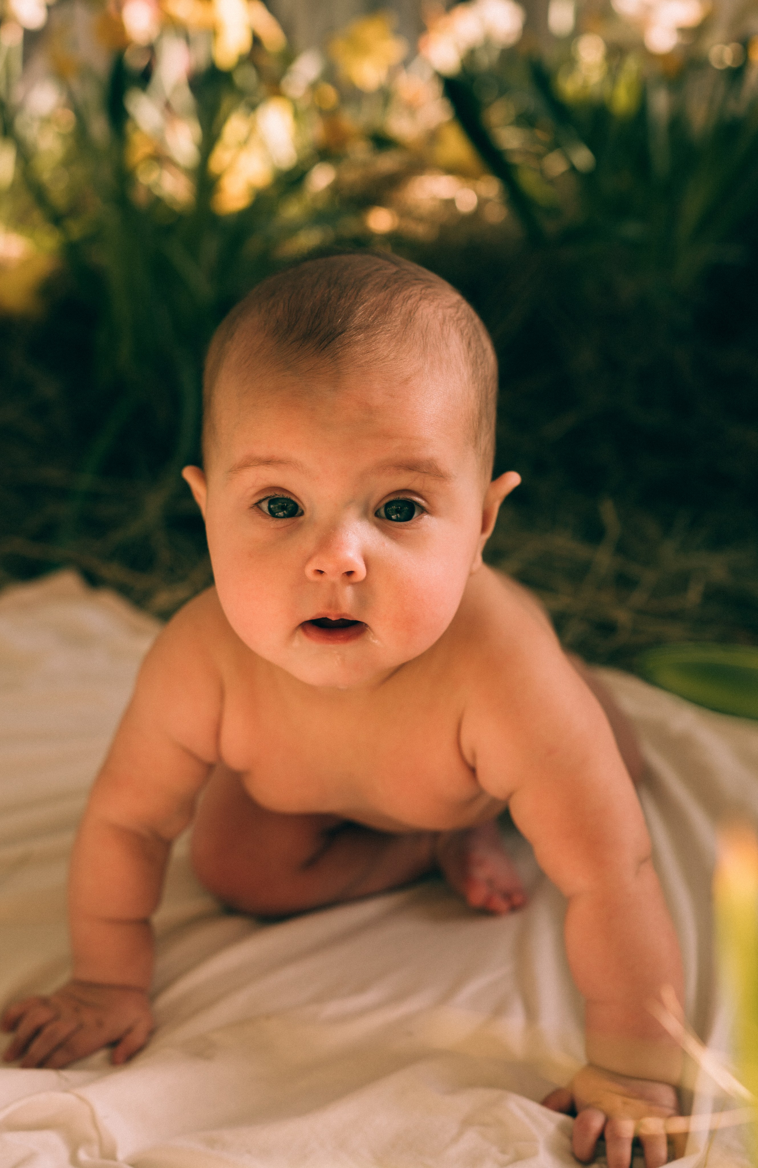 Цветочное материнство. Семейный, ньюборн фотограф, фотограф на роды в Москве, Виктория Тюльдюкова