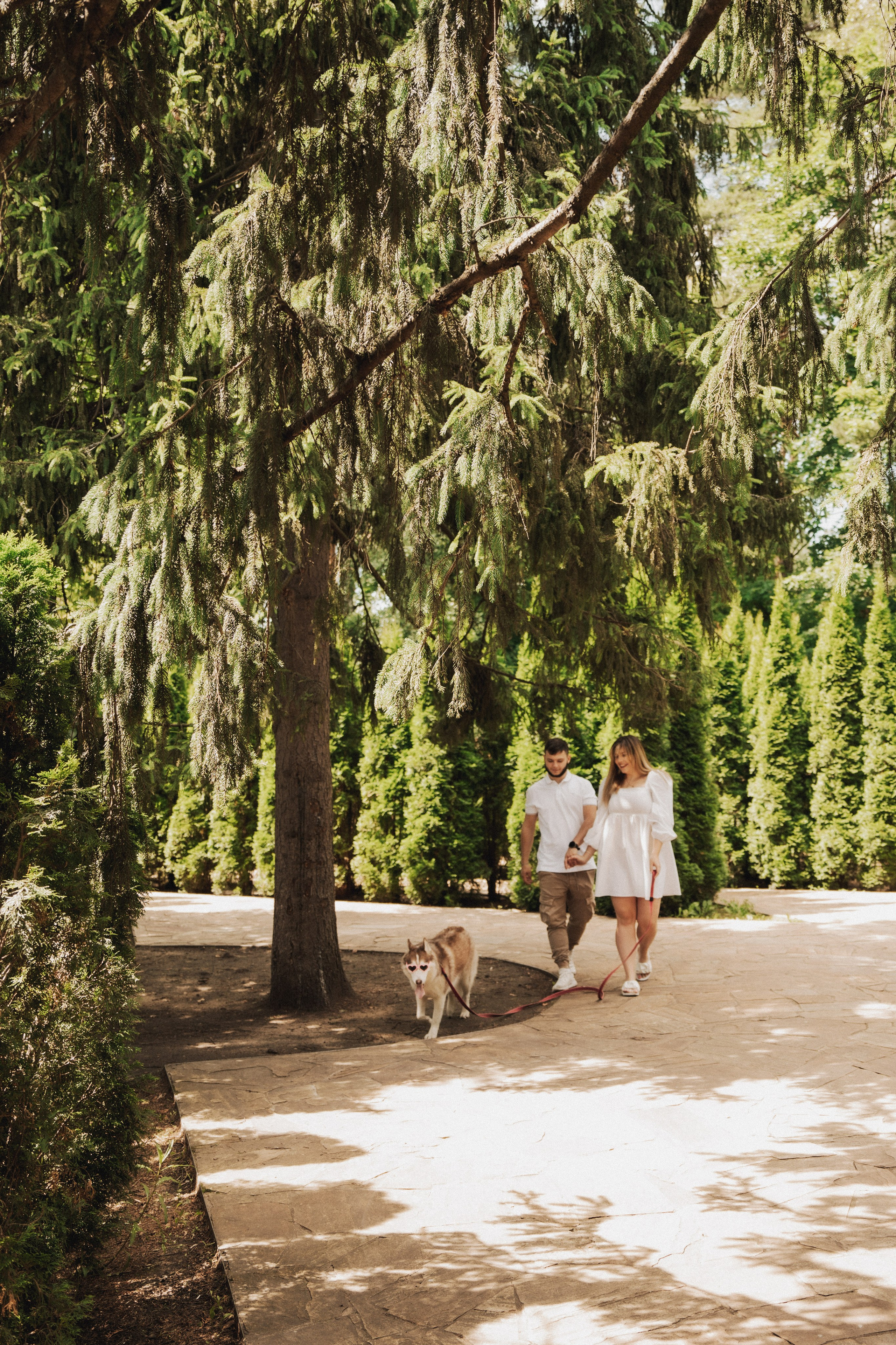 Дарья ♡ Максим ✧ Чоки — История любви, когда в семье есть хаски. Свадебный и портретный фотограф в Москве, Светлана Янковая