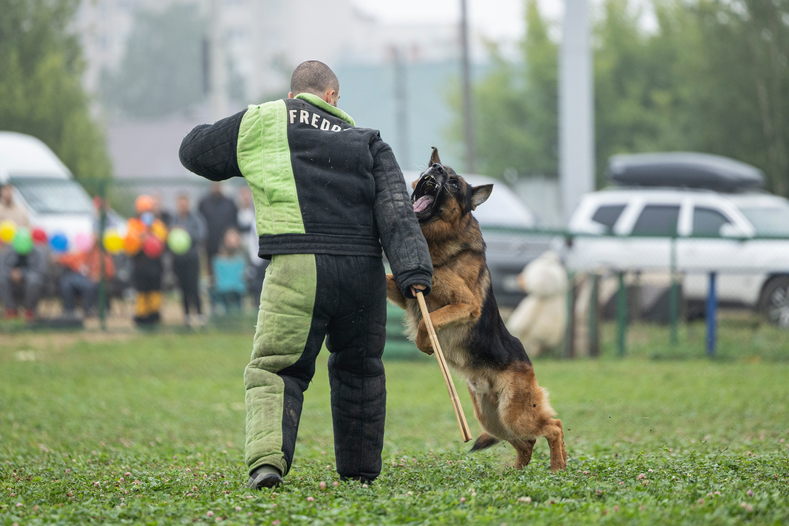 Соревнования по Мондьорингу г. Вологда 10-11.08.2024. Фотограф-анималист Анна Маринич