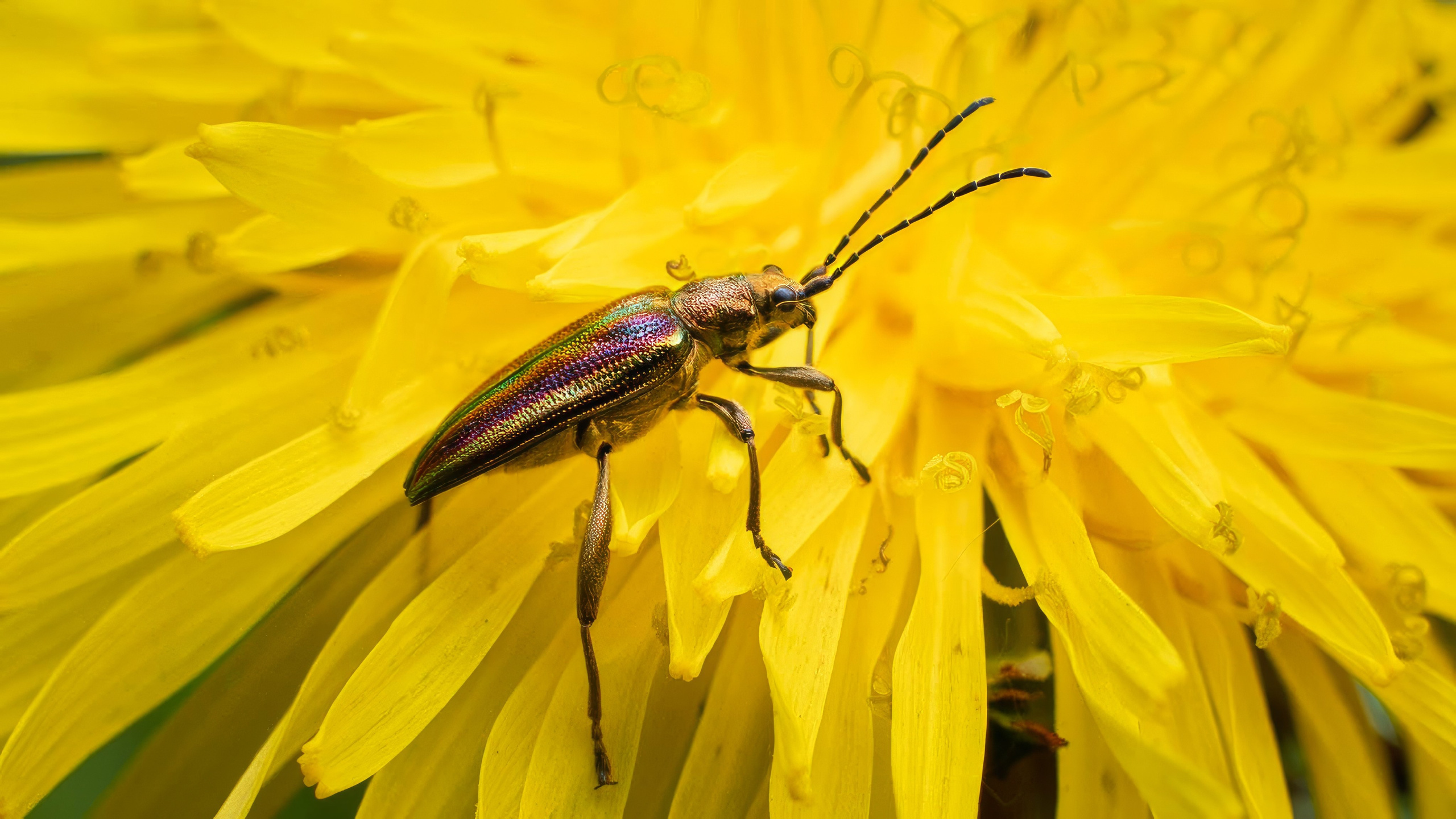 Портфолио. Фотограф и видеограф, видеомонтаж в Амурской области Игорь Иванов