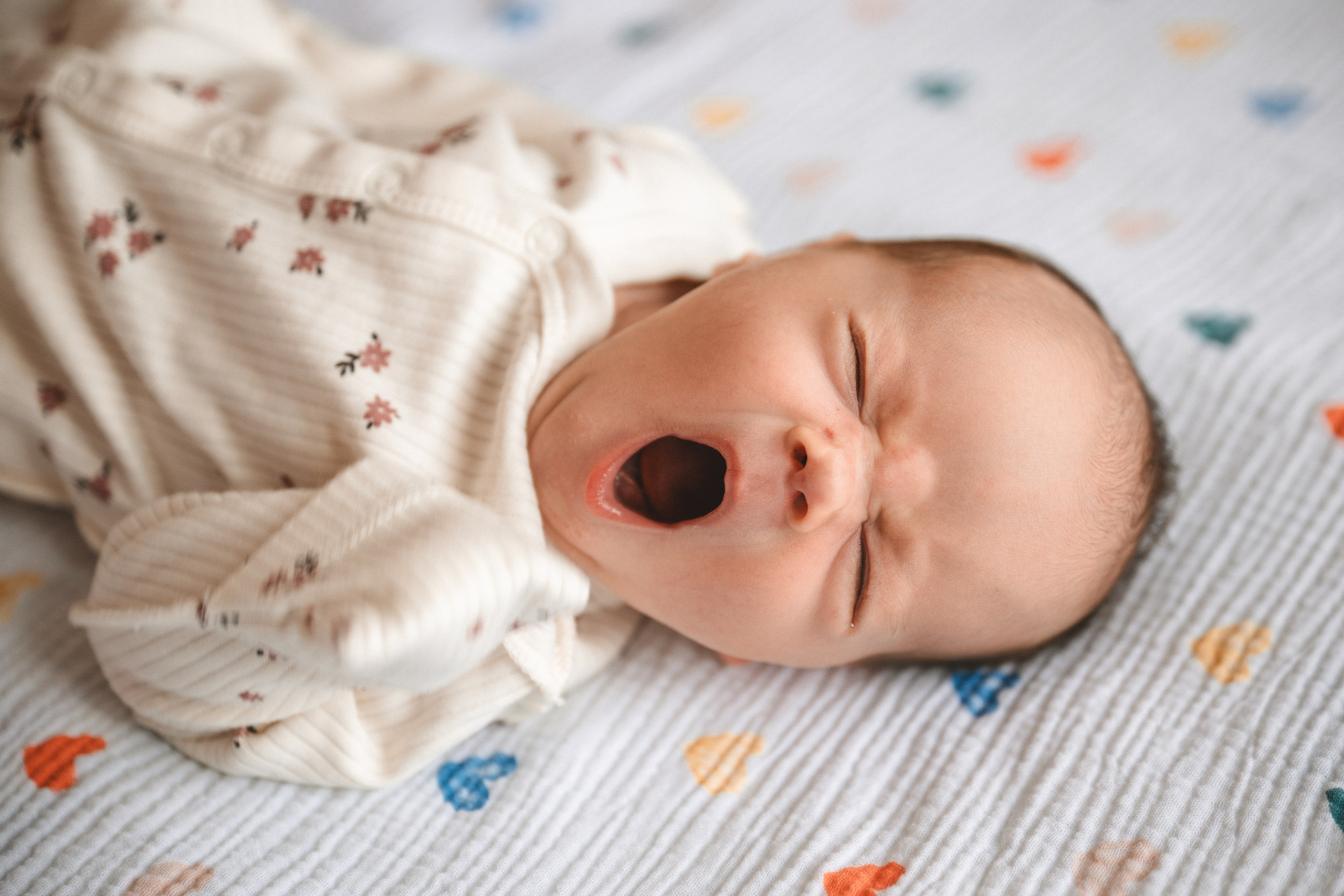 Рождение Василисы. Семейный фотограф в Москве Наталья Капитонова