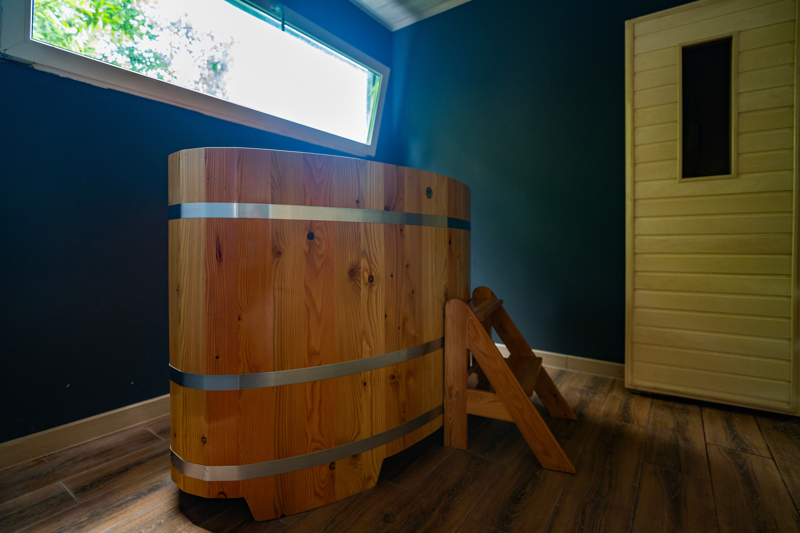 Дионис. Главная