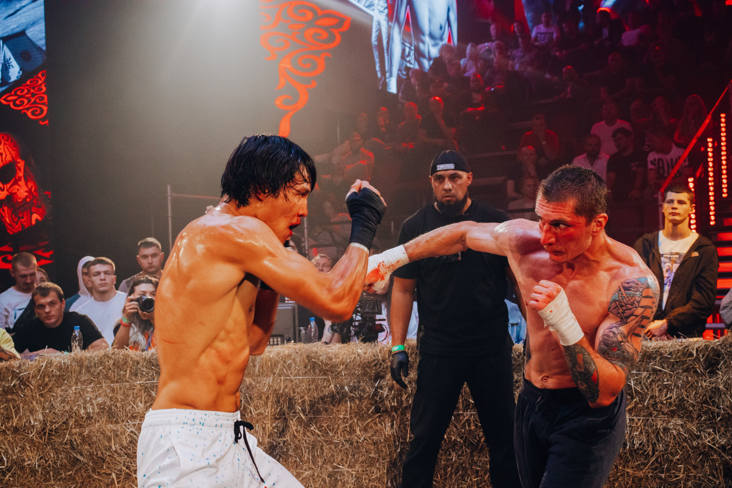 Кулачные бои TopDog. Анастасия Тен