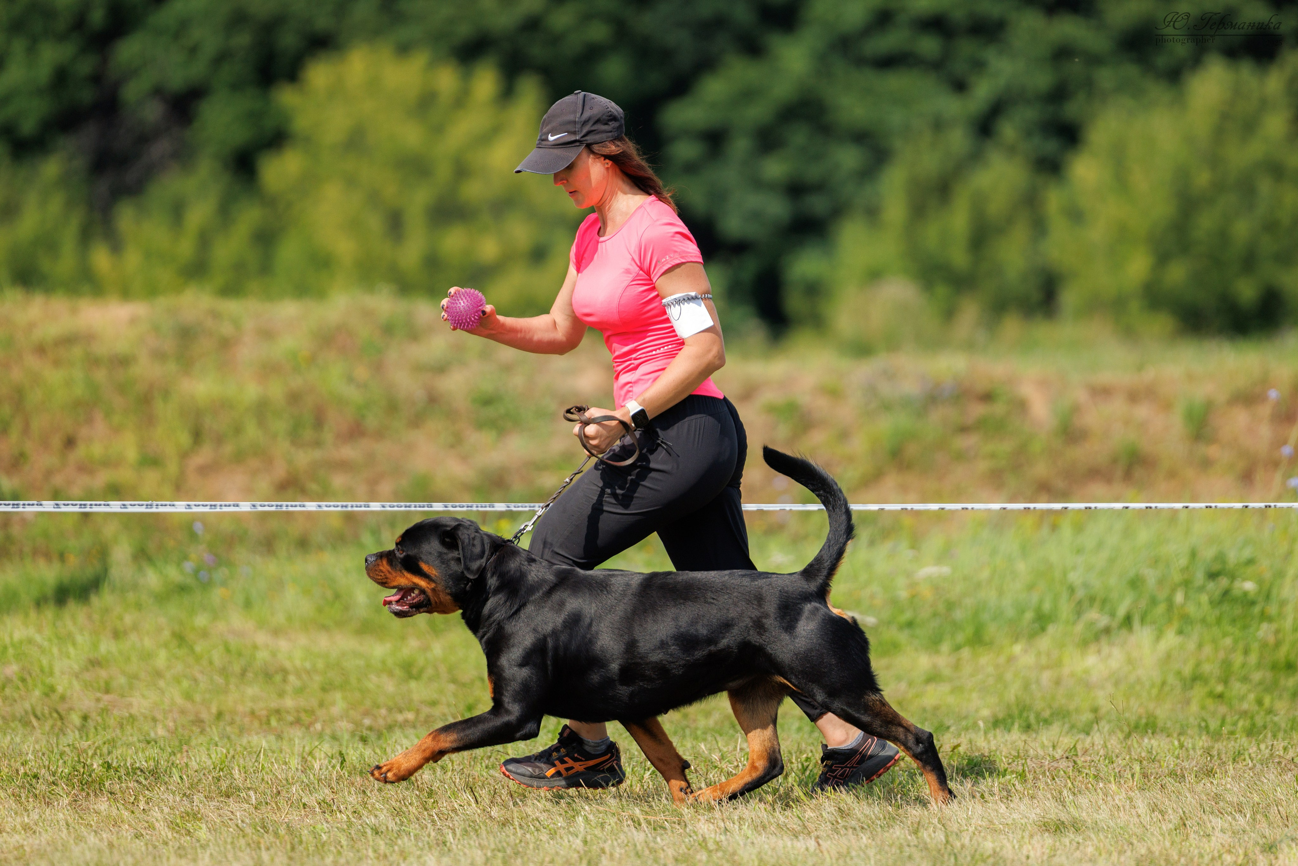 Рязань 2хмоно ротвейлеры 16-17.08.2025. Фотограф-анималист Юлия Германика