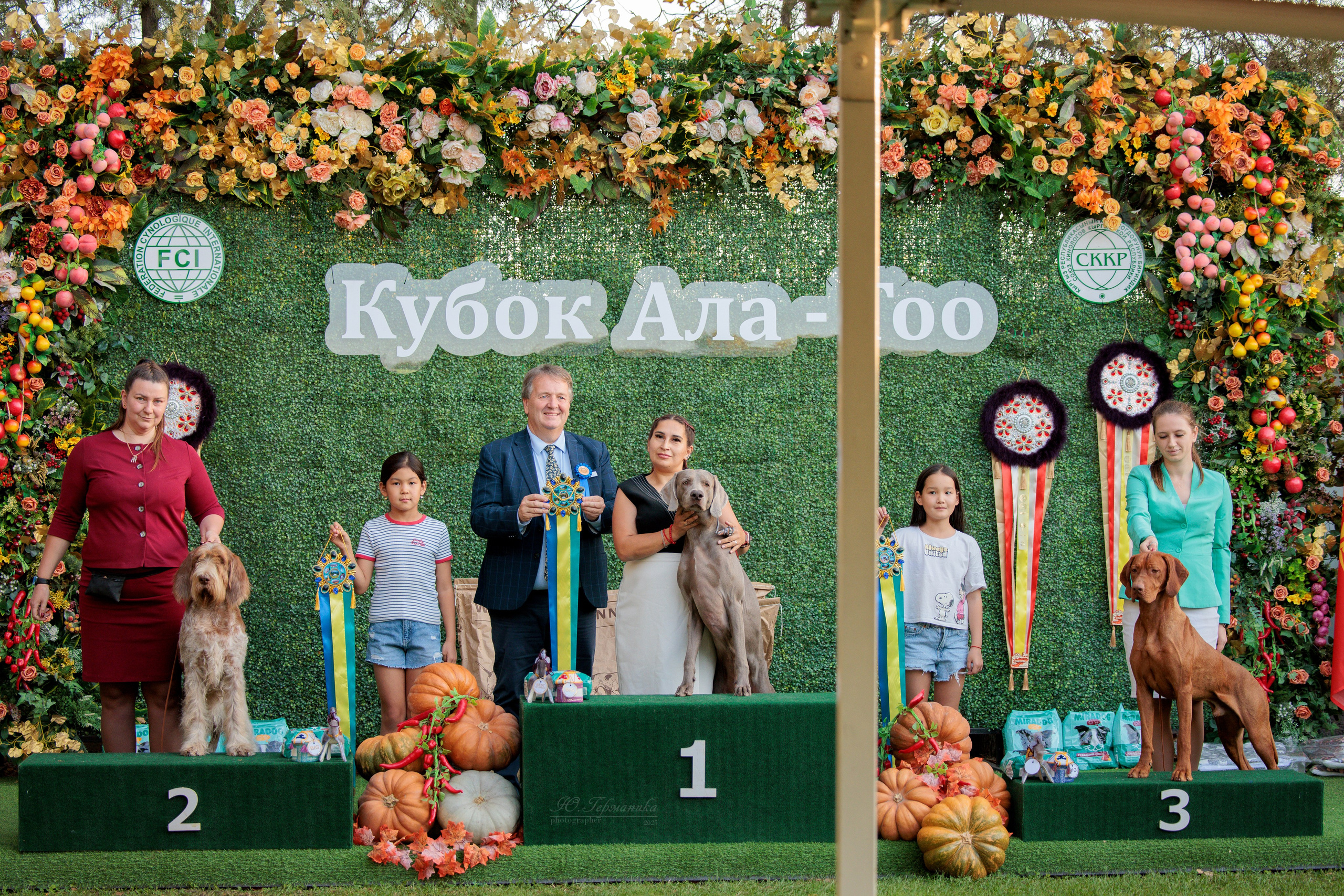 Бишкек 3х CACIB 26-28.09.2025. Фотограф-анималист Юлия Германика