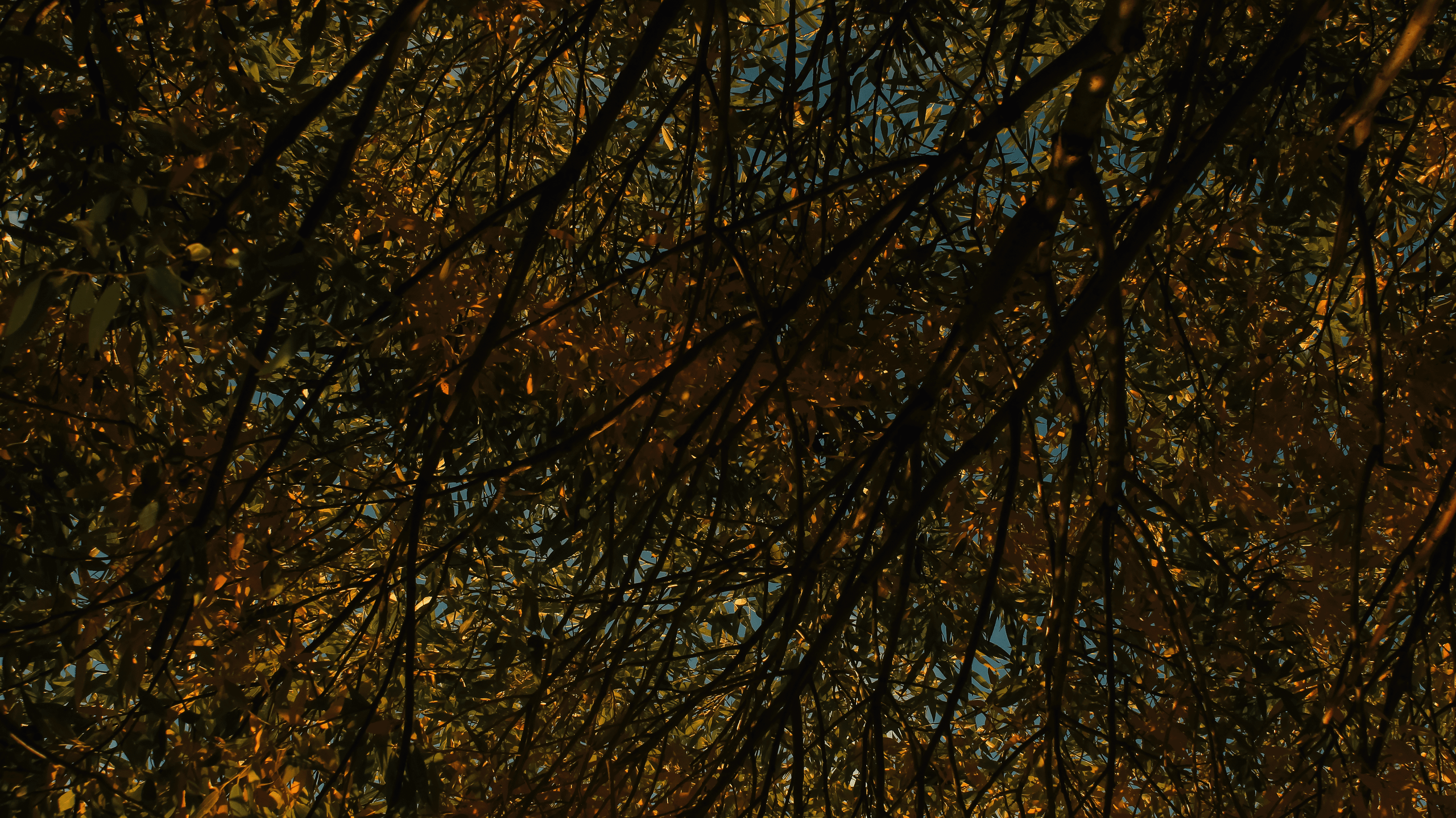 TMN summer '24. Фотограф/дизайнер в Екатеринбурге Хитрый Дмитрий