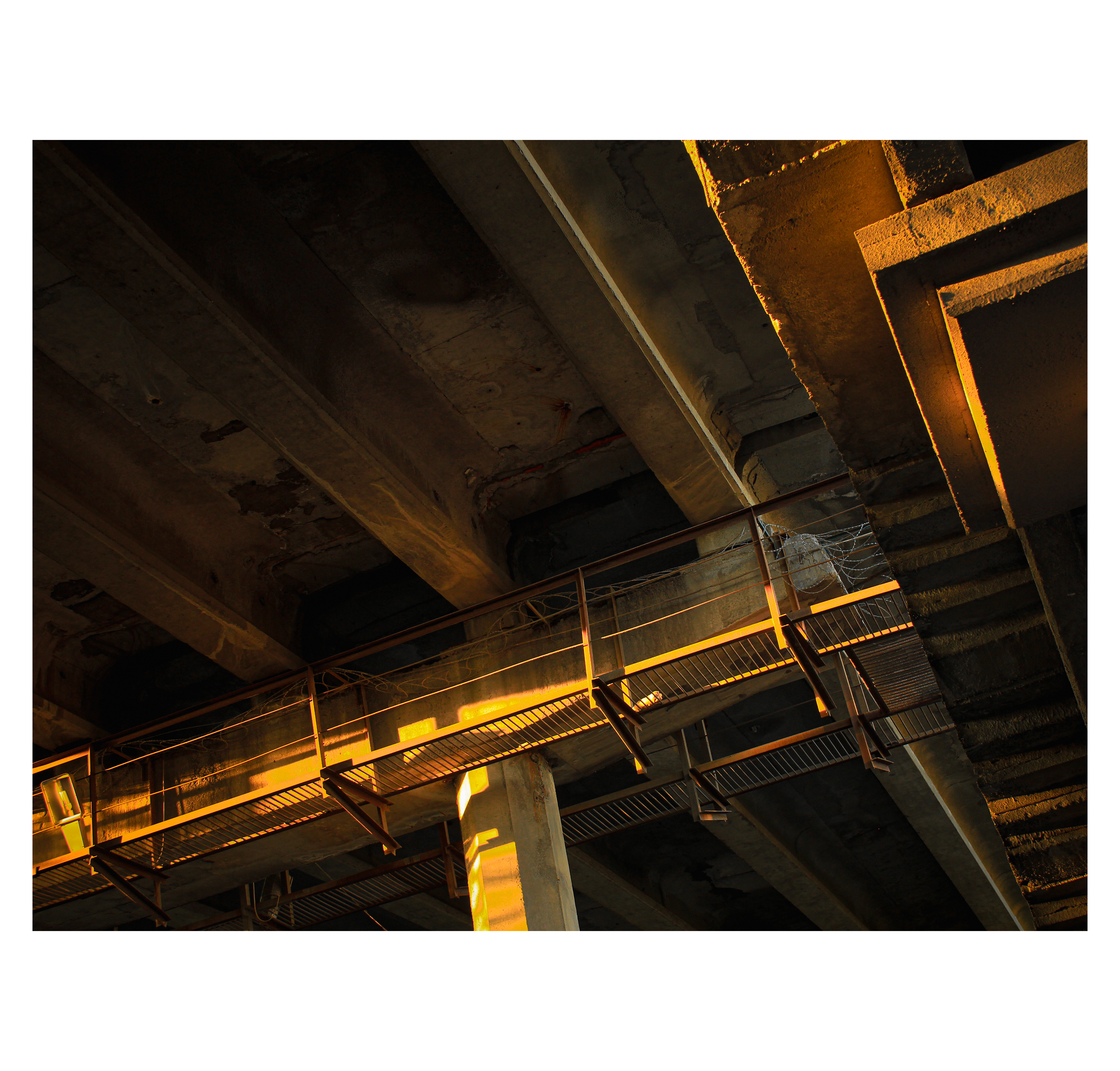 Summertime. Фотограф/дизайнер в Екатеринбурге Хитрый Дмитрий