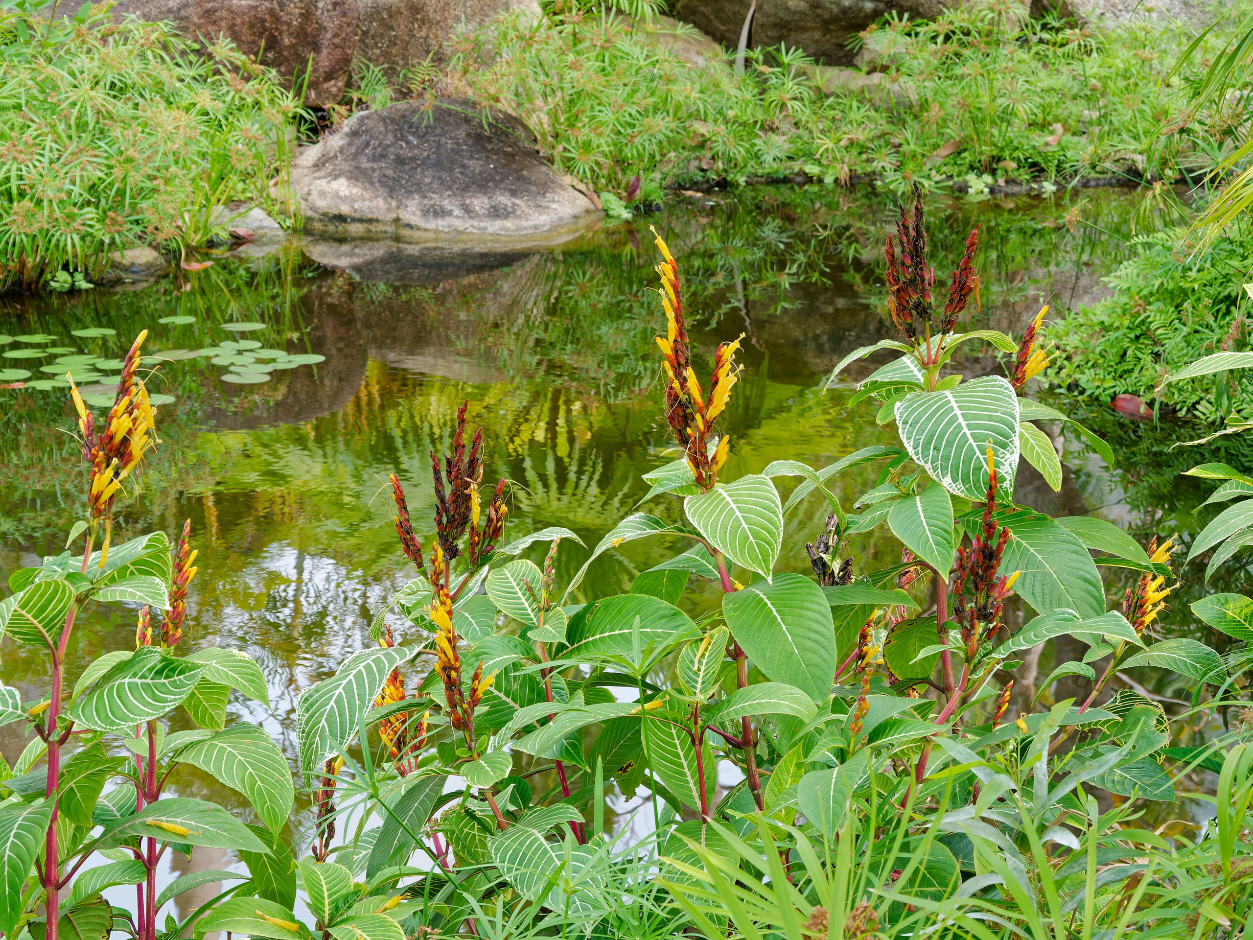 Хайнань 2026, первые впечатления. Фотопрогулки по Миру