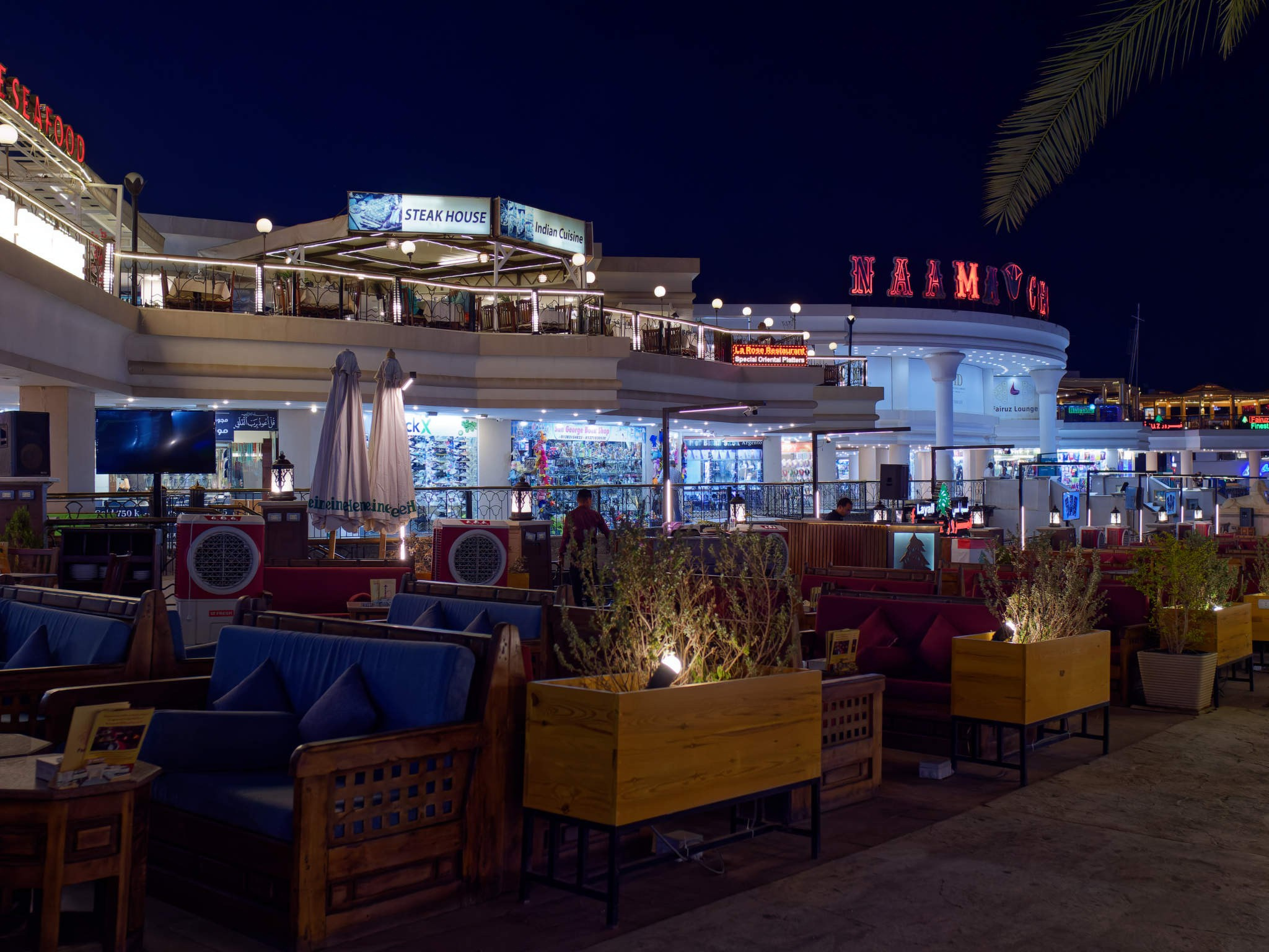 Шарм-эль-Шейх 2024. Избранные фотографии