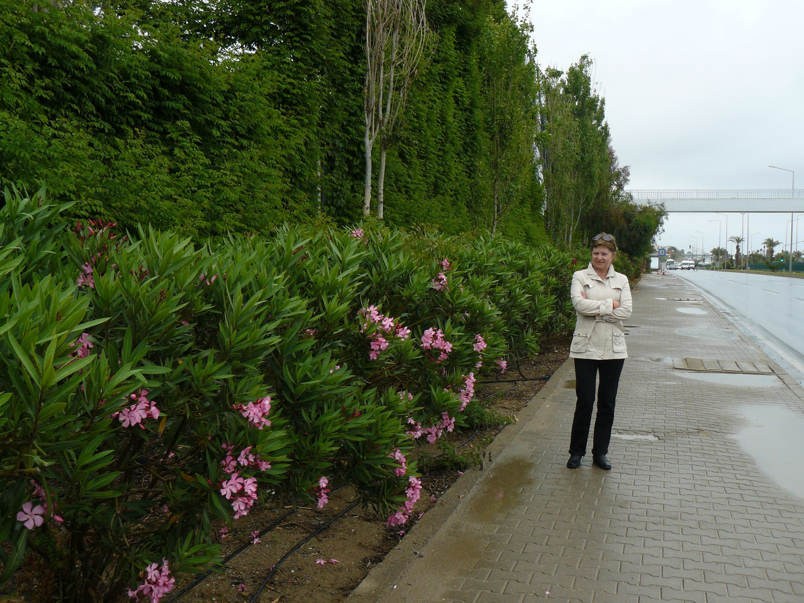 Авсалар 2014 встреча. Фотопрогулки по Миру