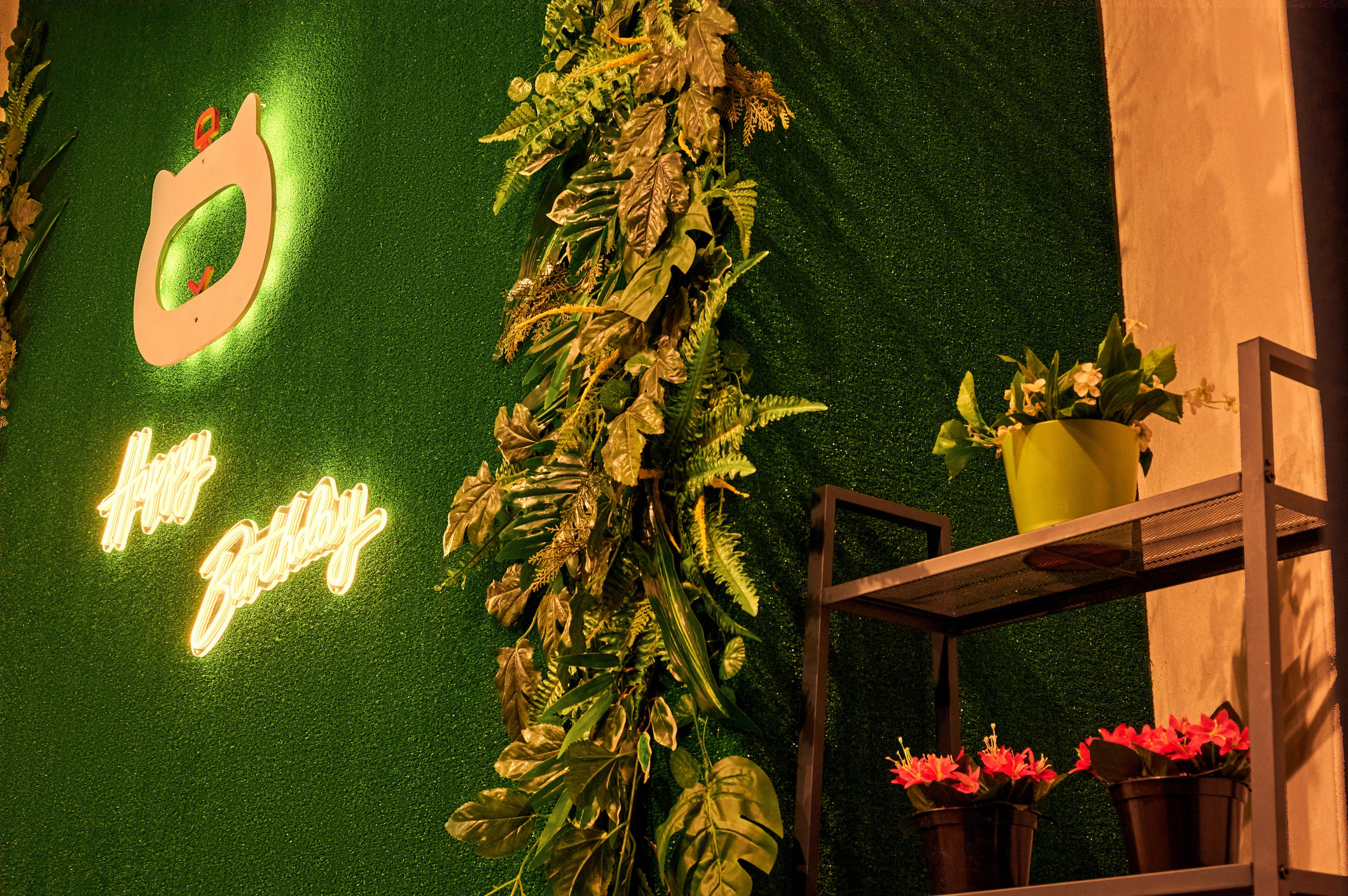 Чеширский Коd — 5 локаций. Фотограф Яковлев Роман — Красноярск