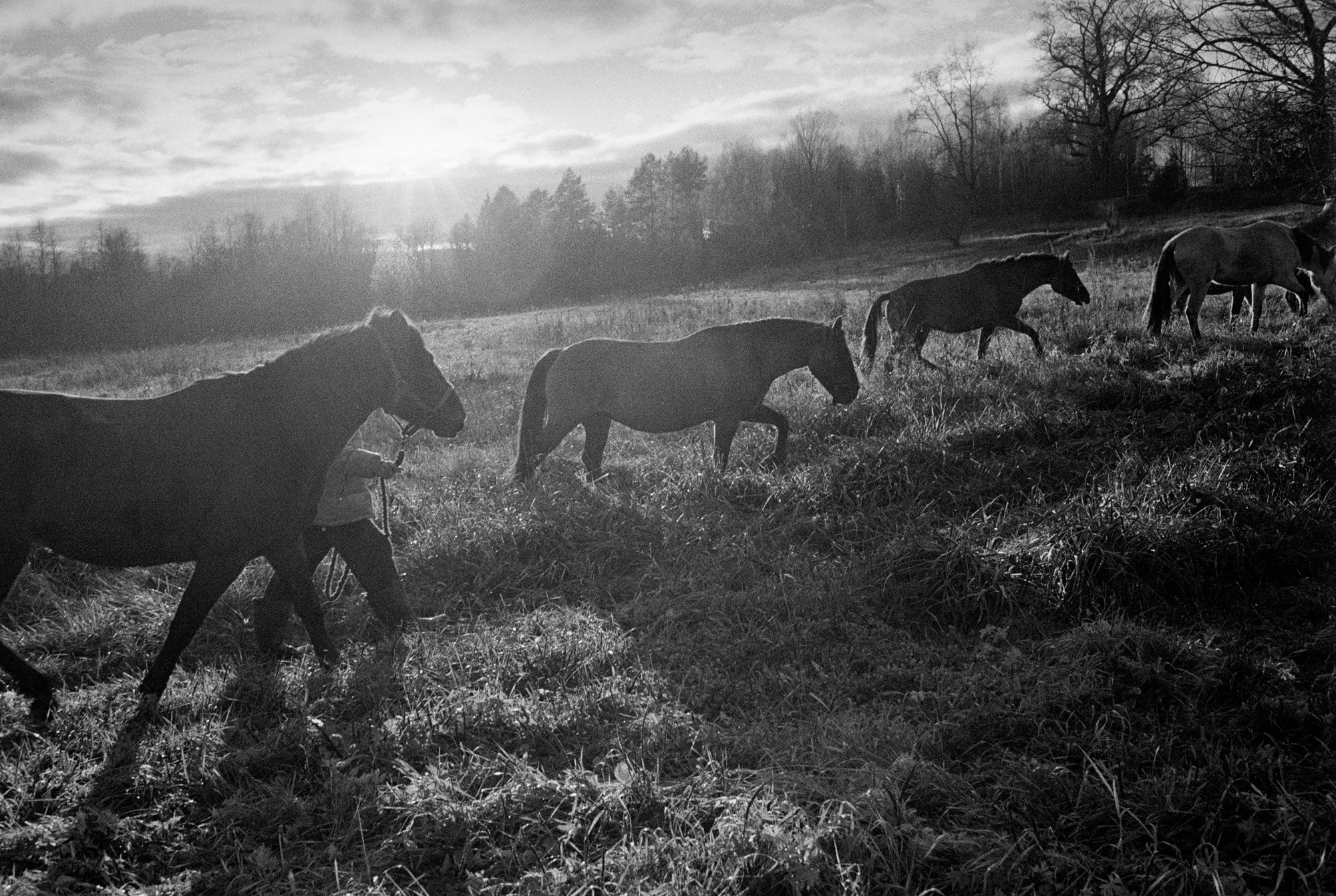 Кострома Blues. Документальный фотограф Алексей Мякишев, Москва
