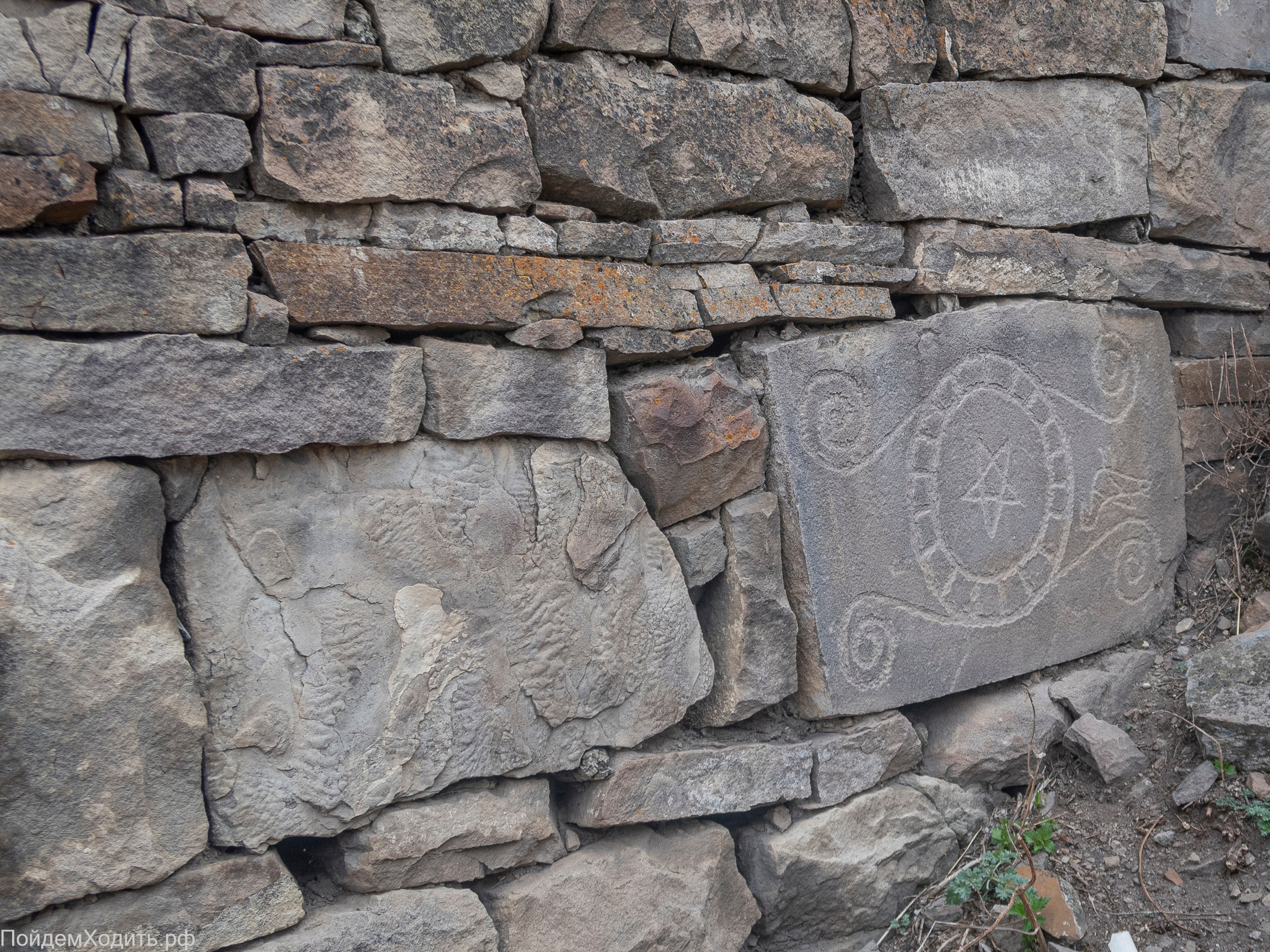 Nordic Walkers в Дагестане. Фото из походов и путешествий клуба скандинавской ходьбы Пойдем Ходить