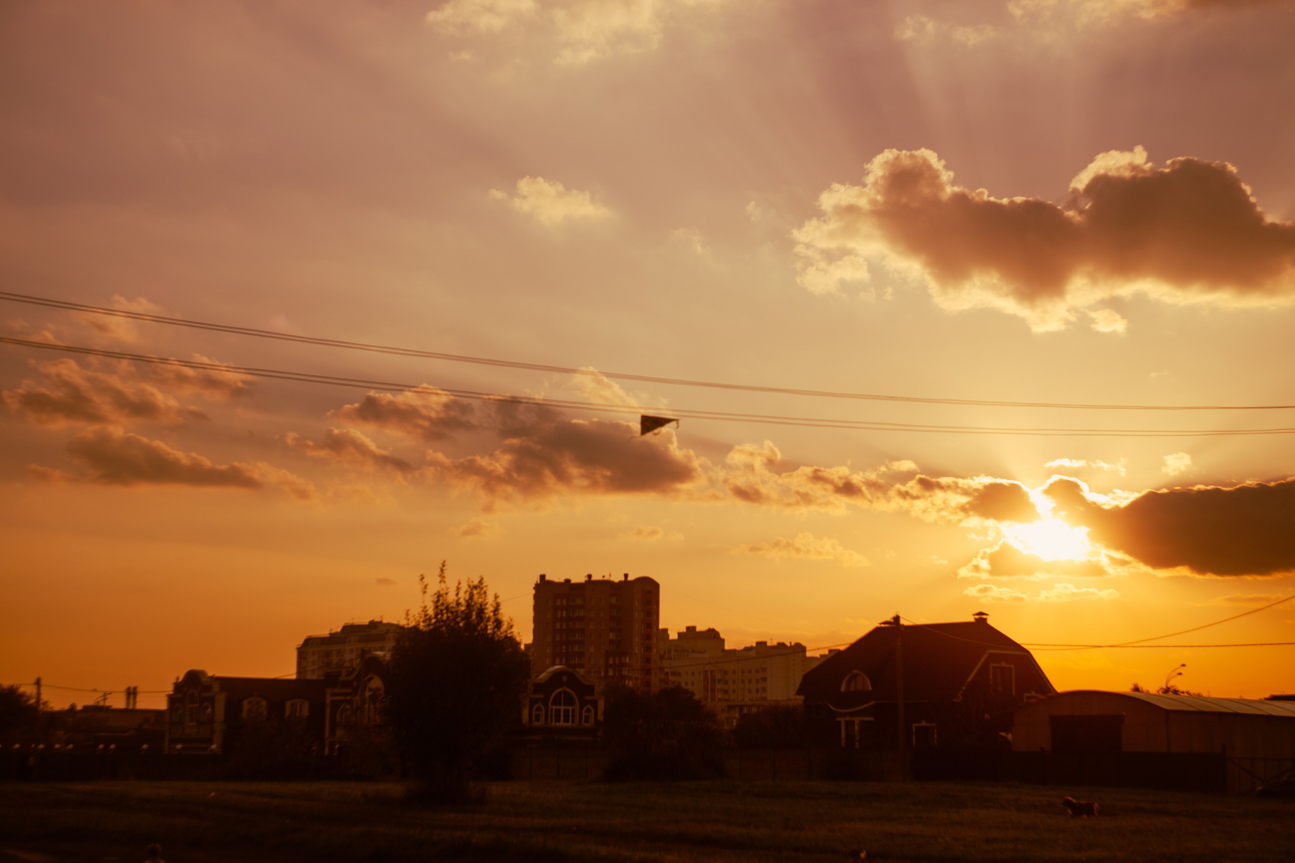 Сентябрь 2023. Efremovaphoto.ru