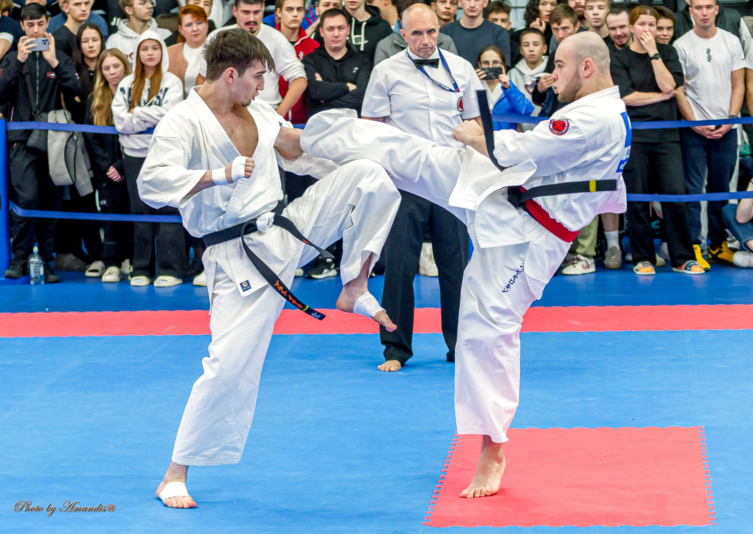 Репортажная съемка в Москве и области. Анималистика