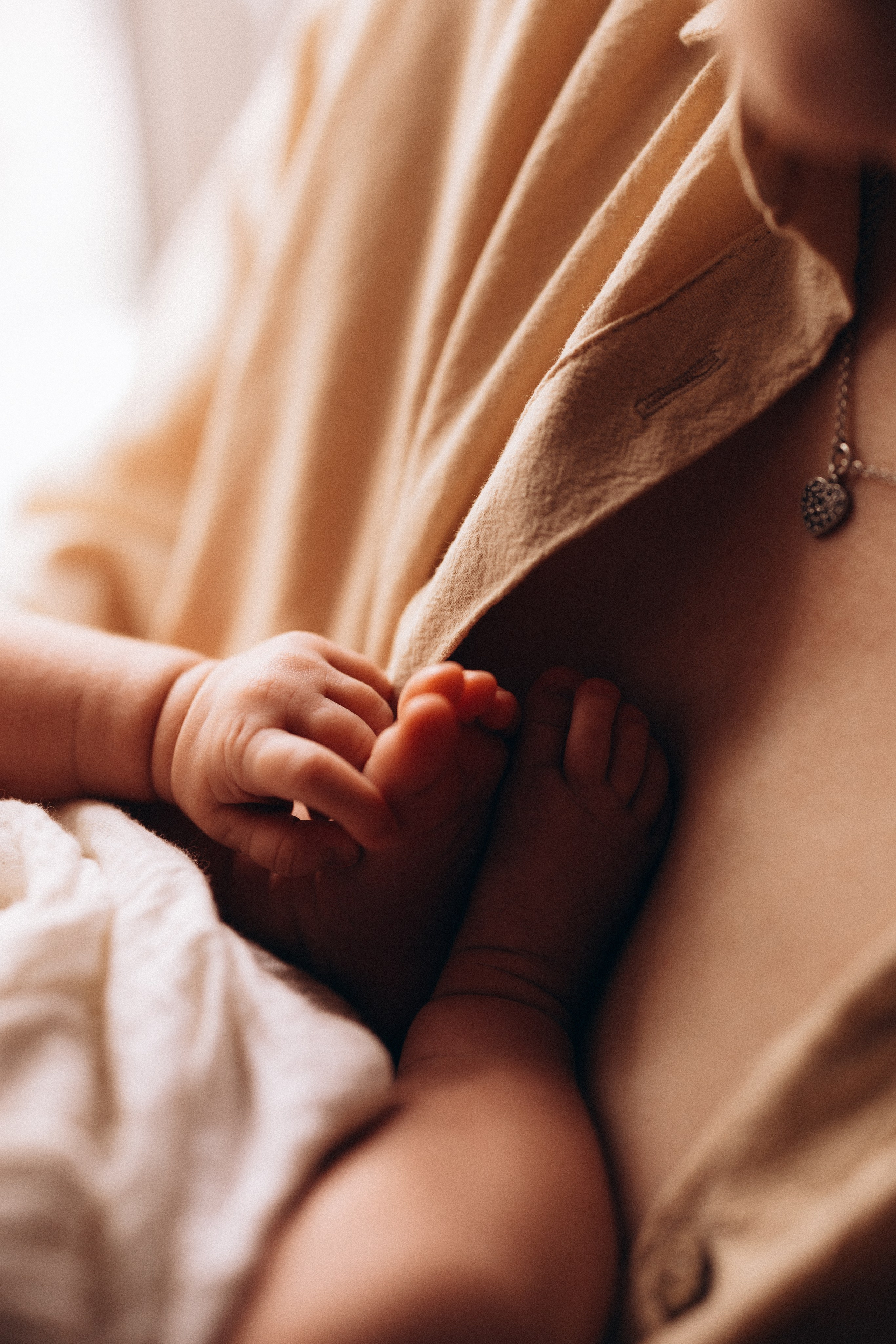 Василиса. Евгения Пелипас