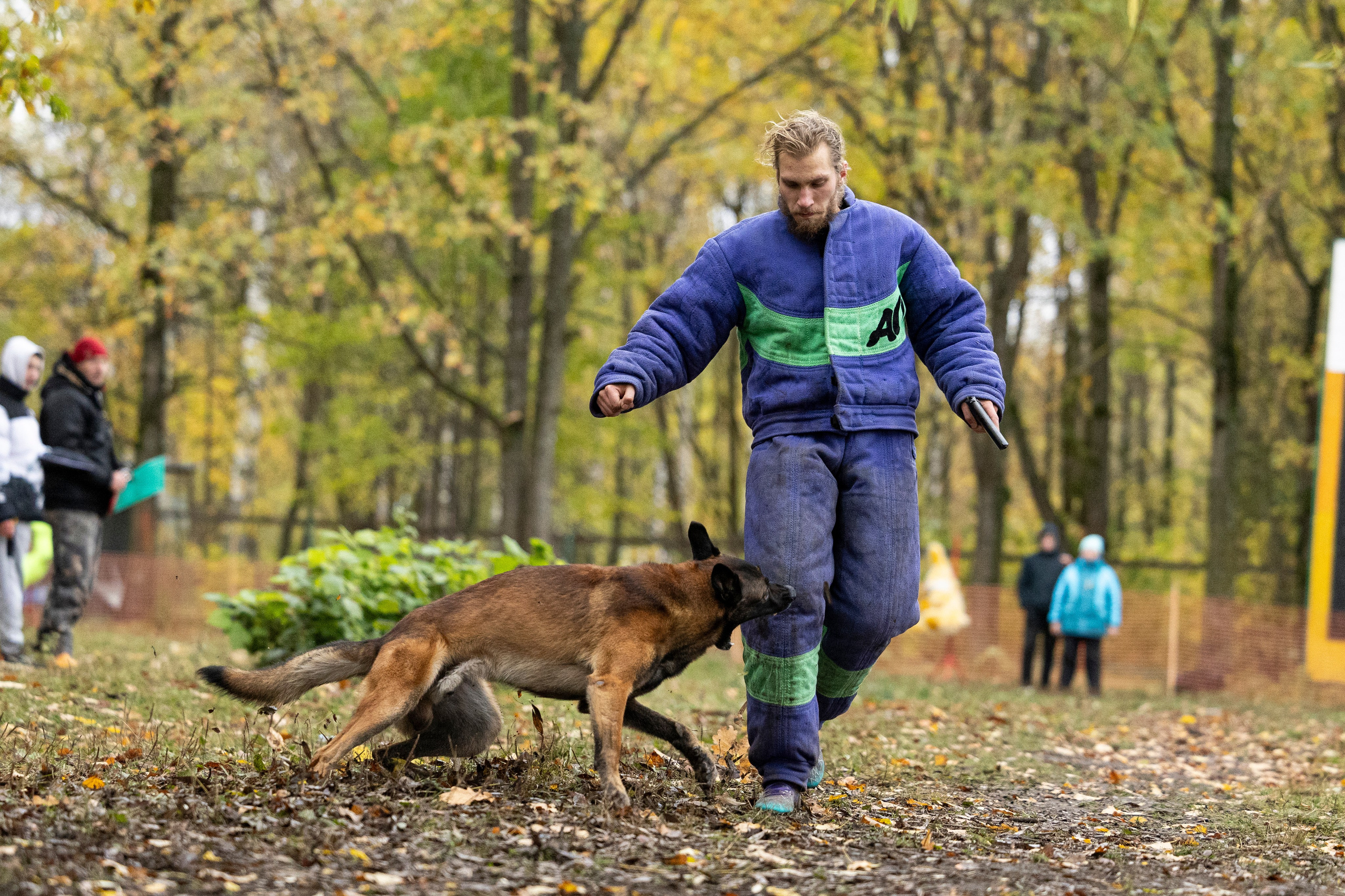 Соревнования по Мондьорингу г. Вологда. Фотограф-анималист Анна Маринич