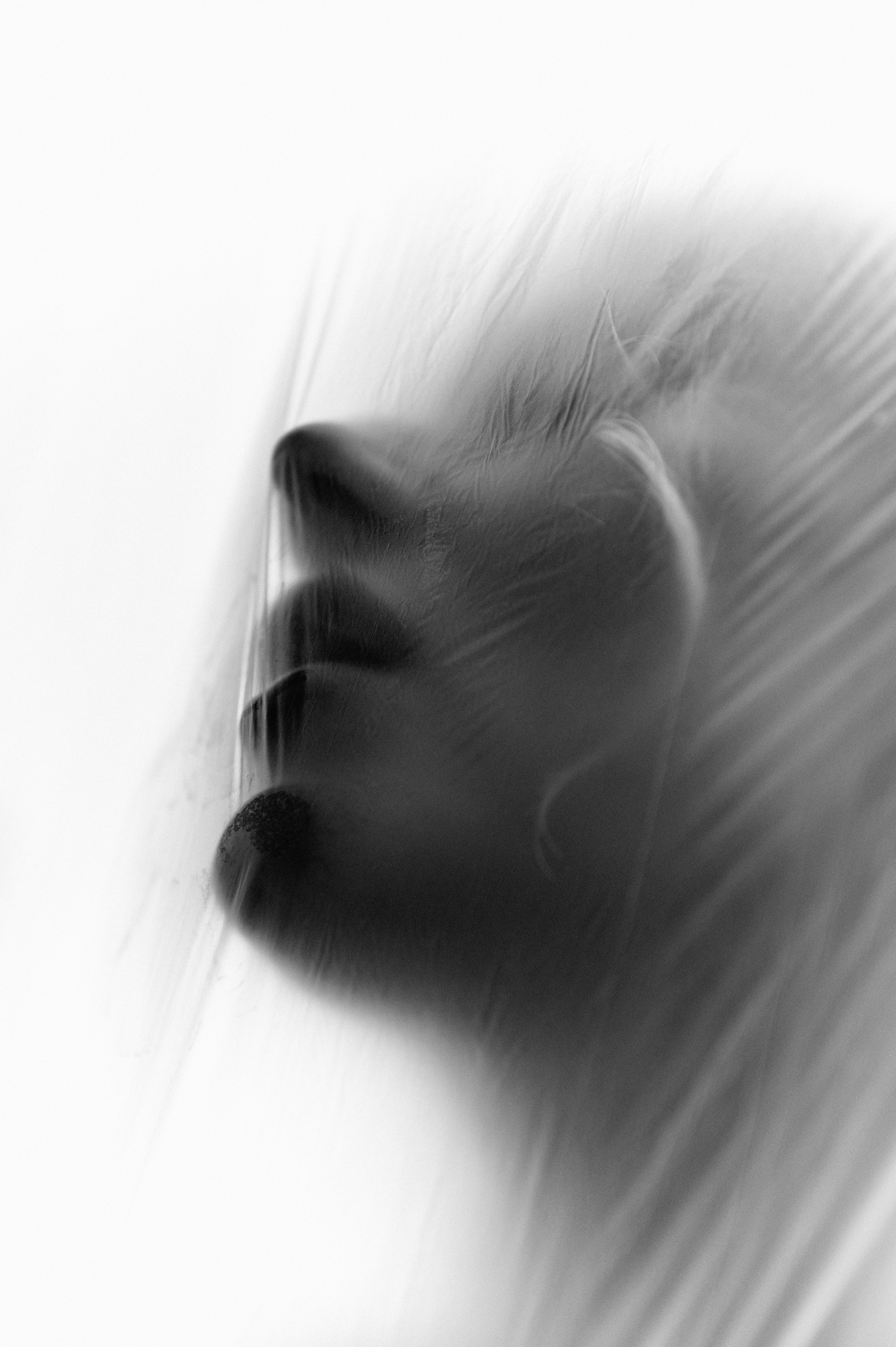 Воркшопы. Главная