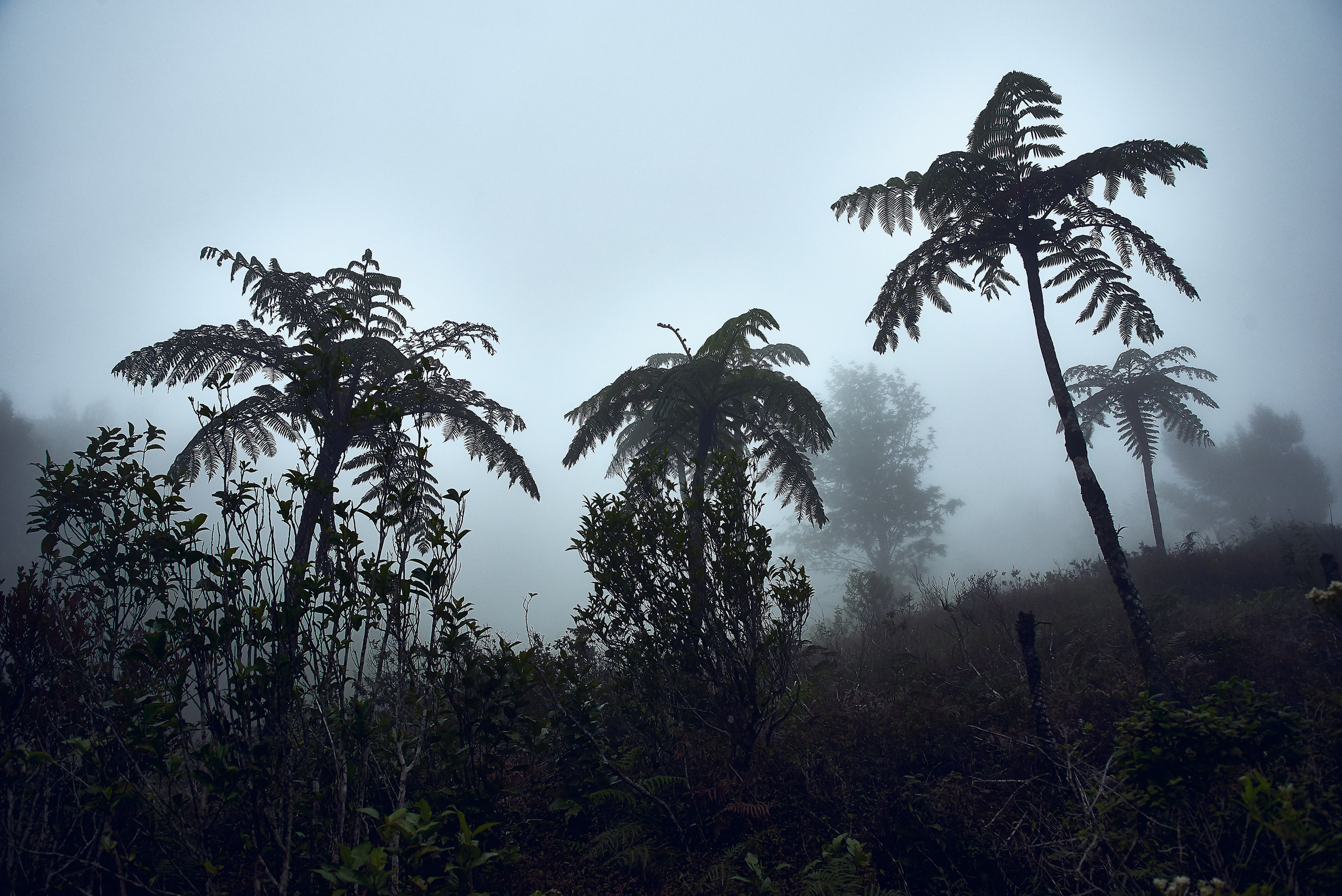 Moto Trip 23-05-19. Никита Хохловский фото и видео продакшн