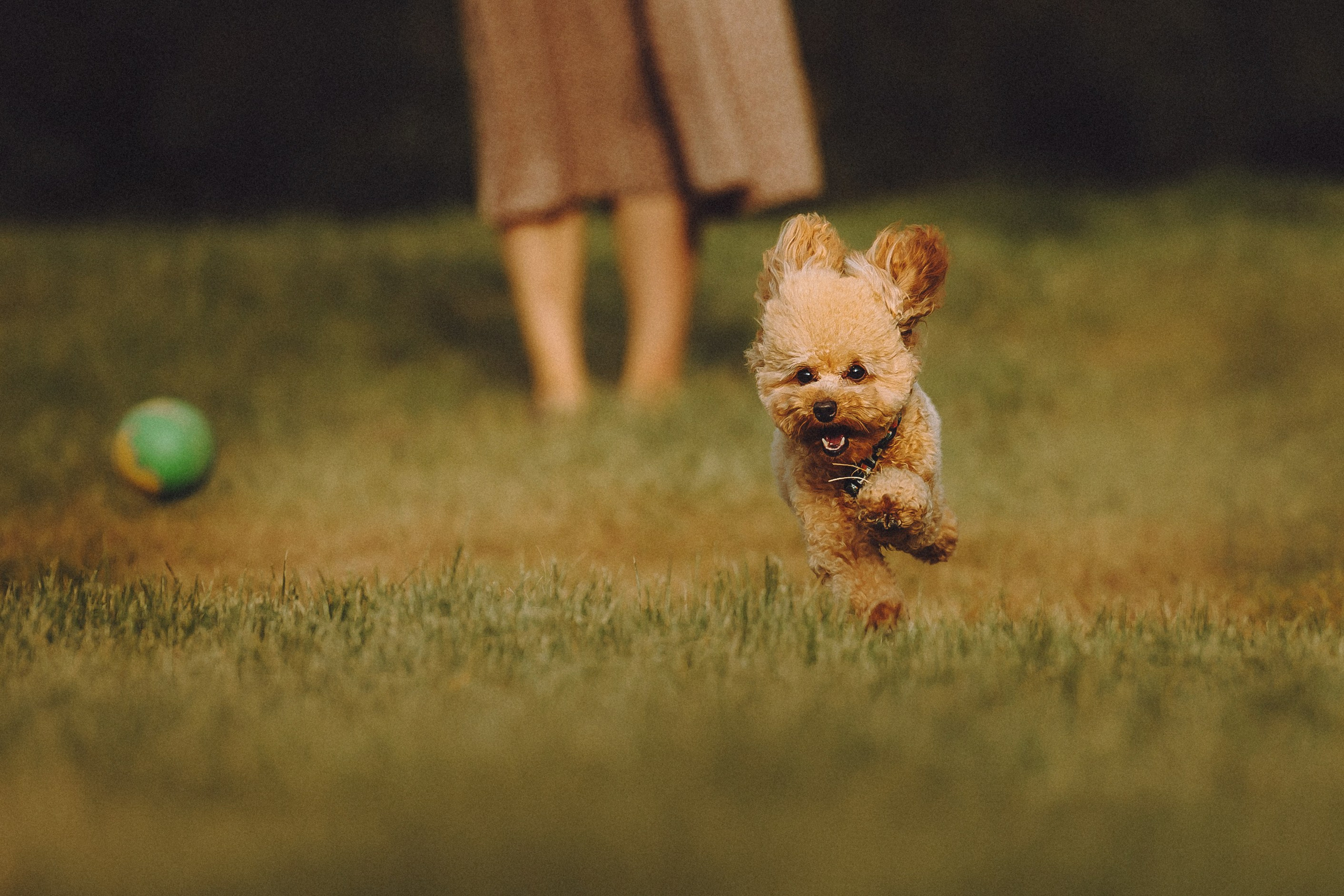 Даша и Джули