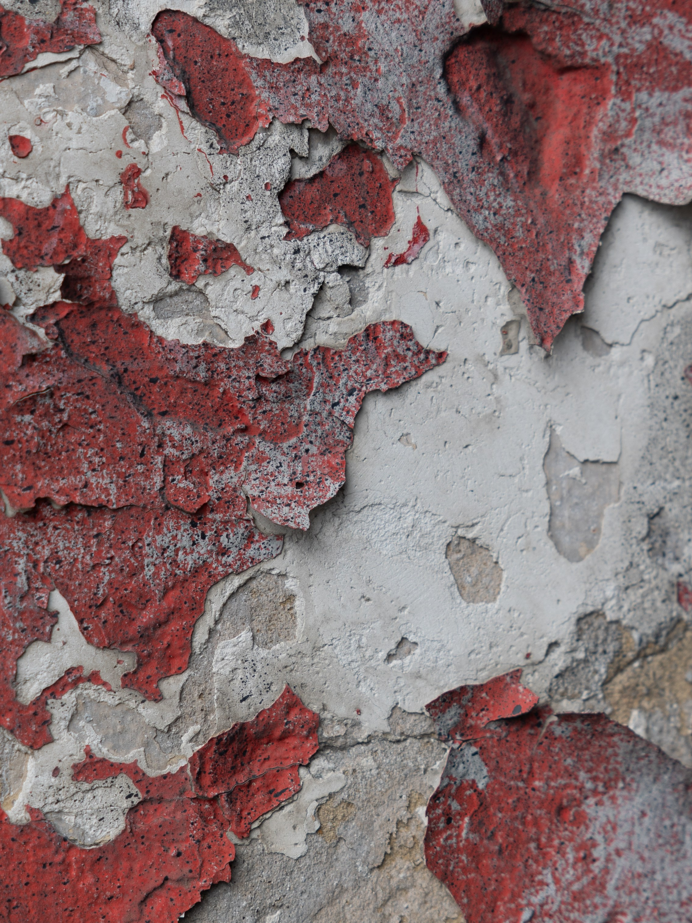 Порталы | Portals. Фотограф алина стерхова, алина стерхова фотограф, фотограф москва