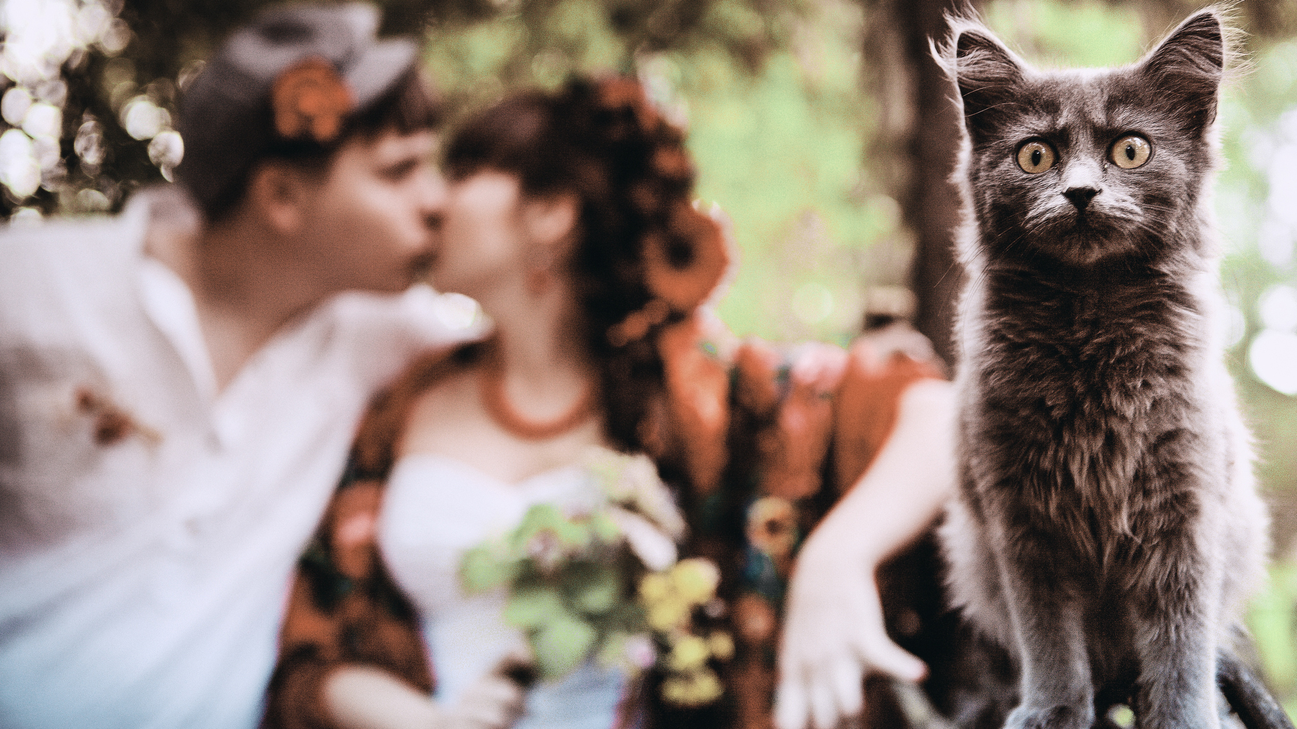 Siberian weddings 2009-2019, 2021. Главная