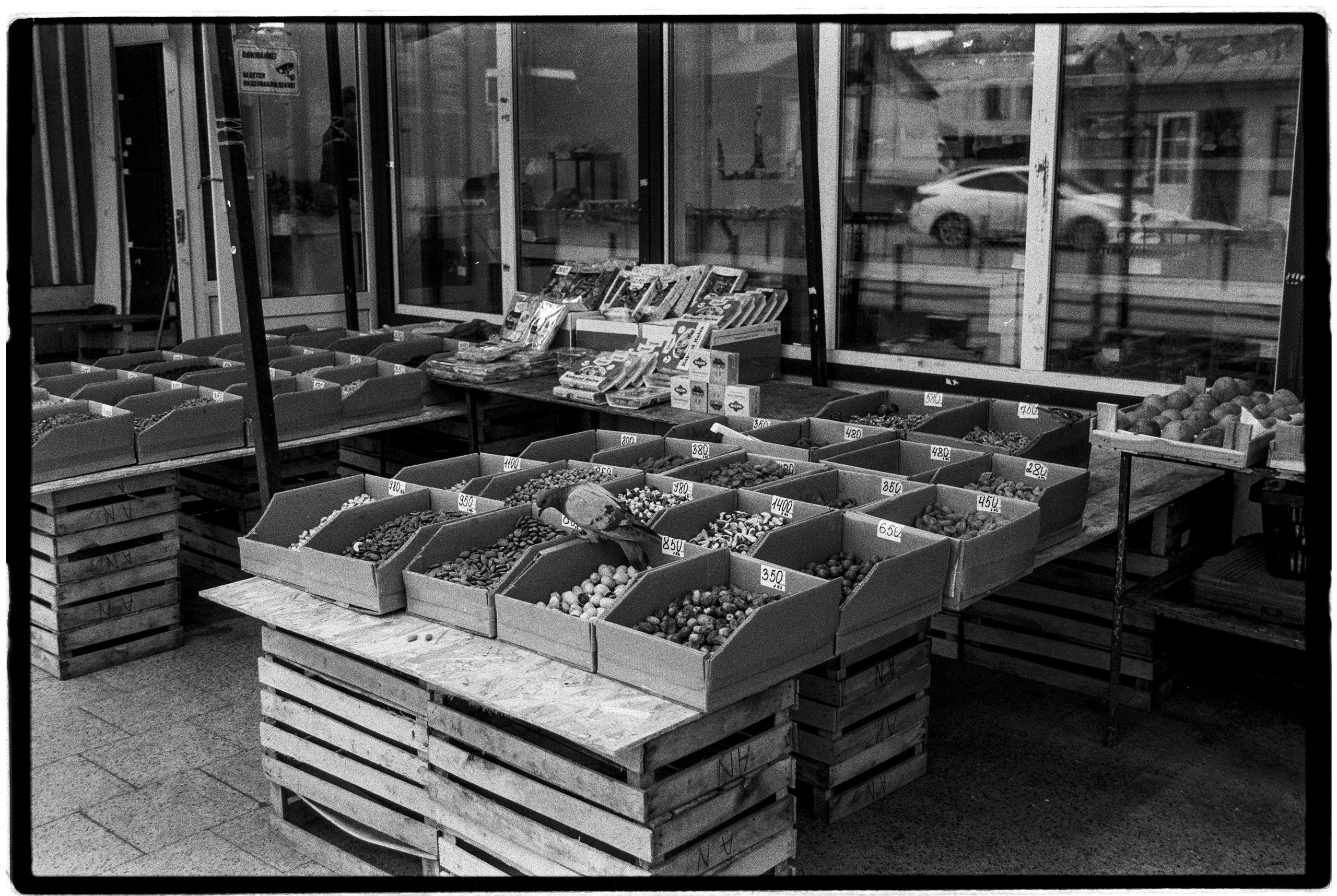 KOLOMNA. ANNA — PHOTOGRAPHER