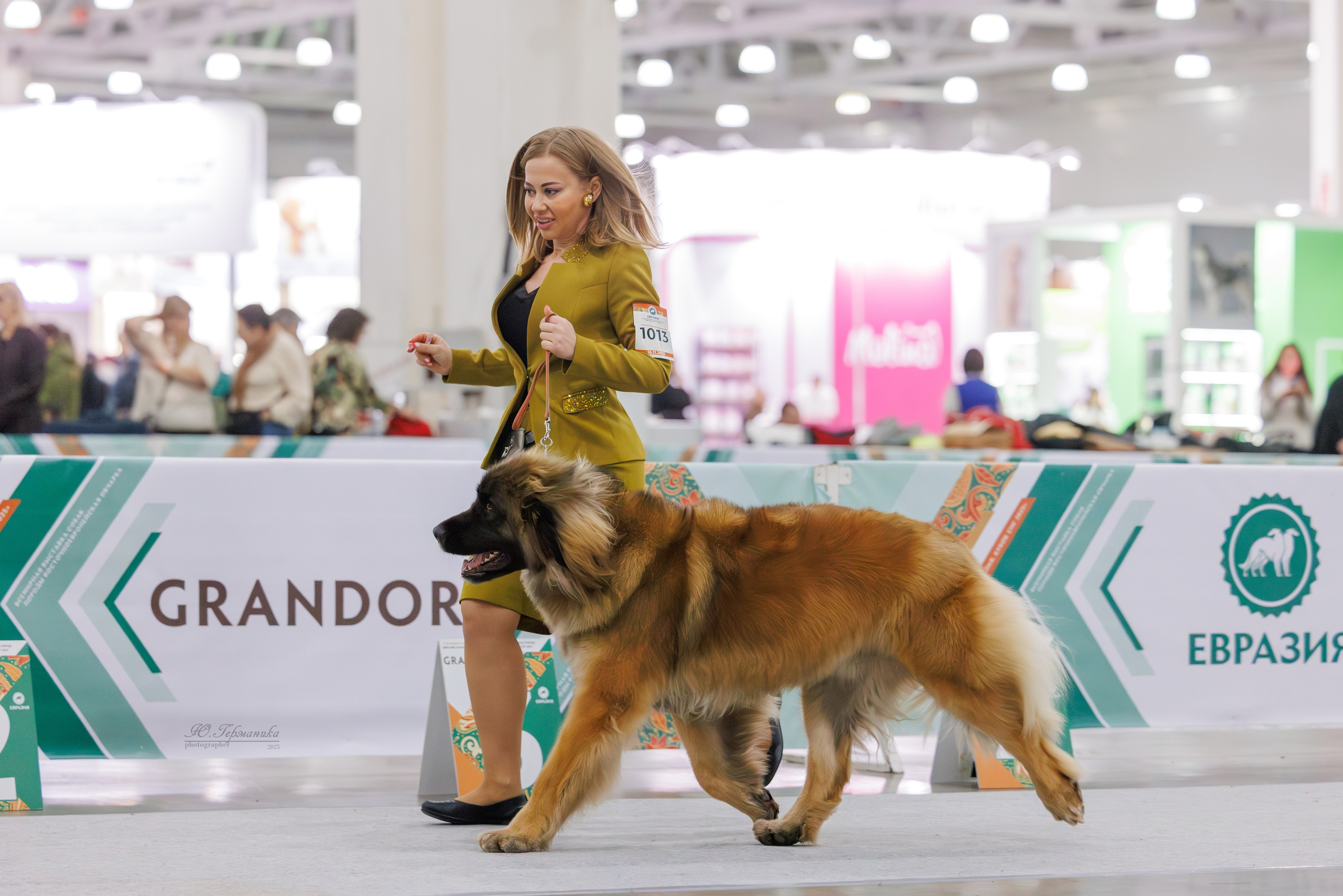 Евразия 15-16.11.2025. Фотограф-анималист Юлия Германика