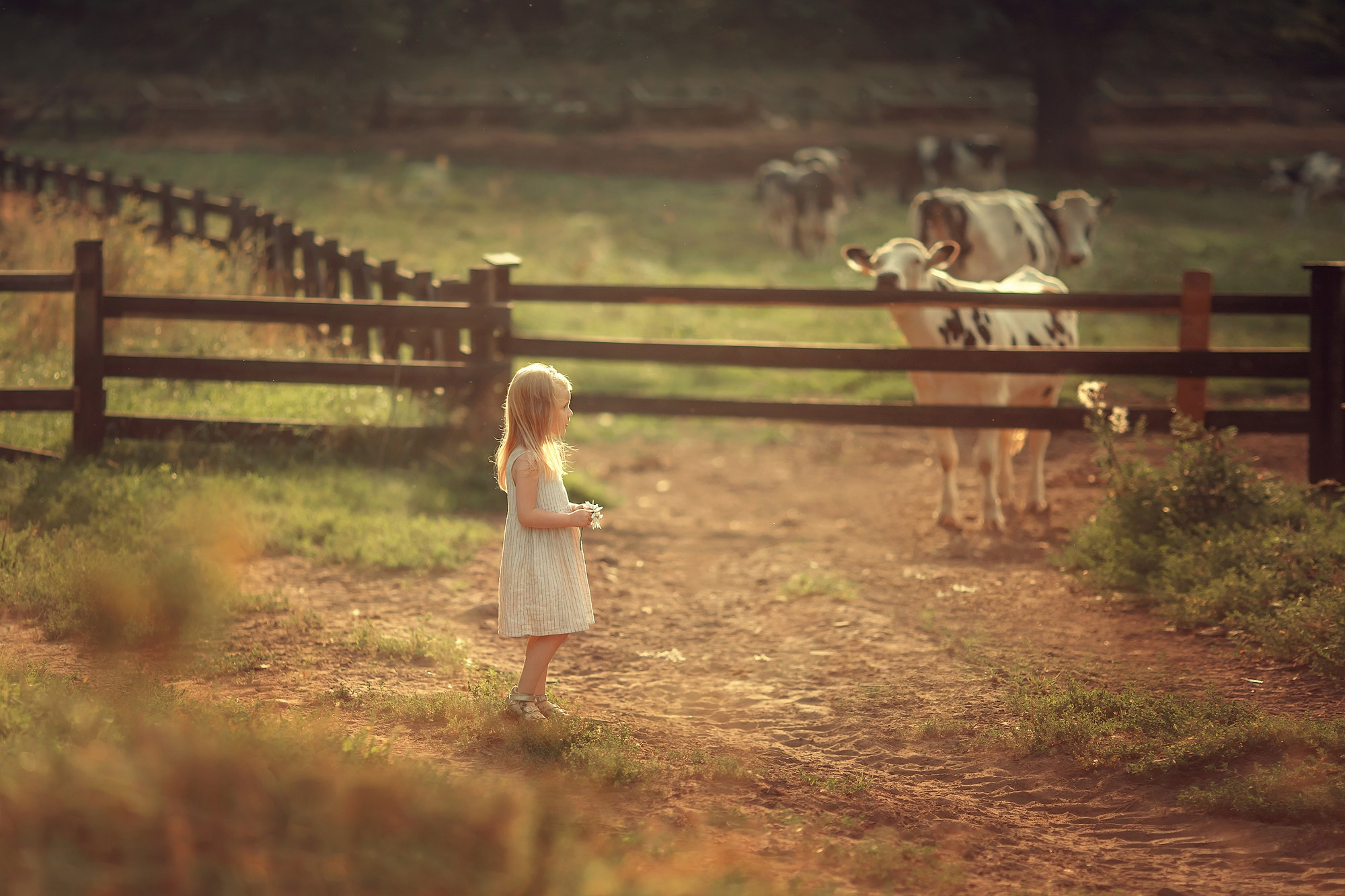 Есения. Семейный фотограф Микульская Ирина