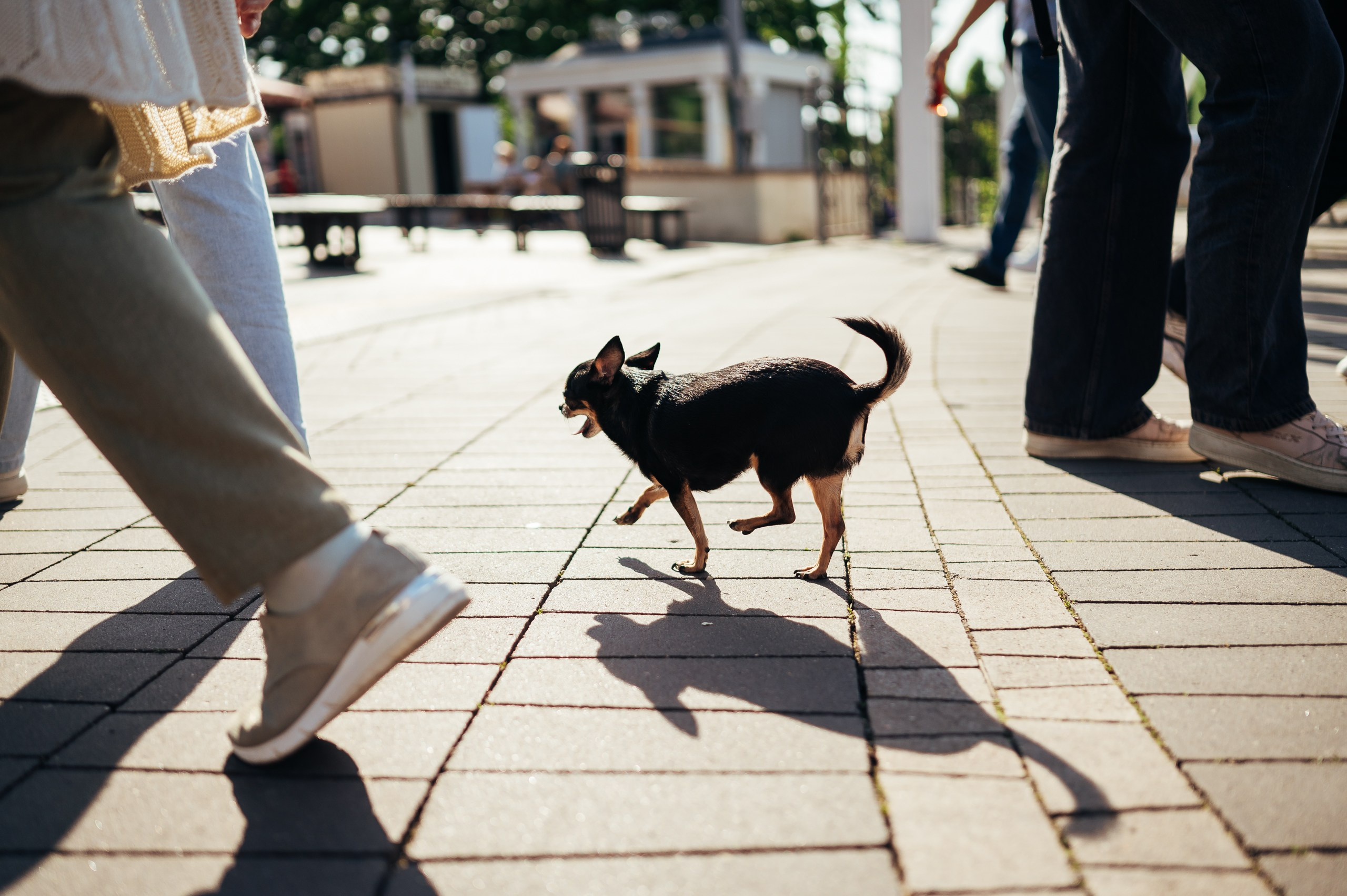 Фотопрогулка с «Иллюминатором». Фотограф Елена Афанасьева