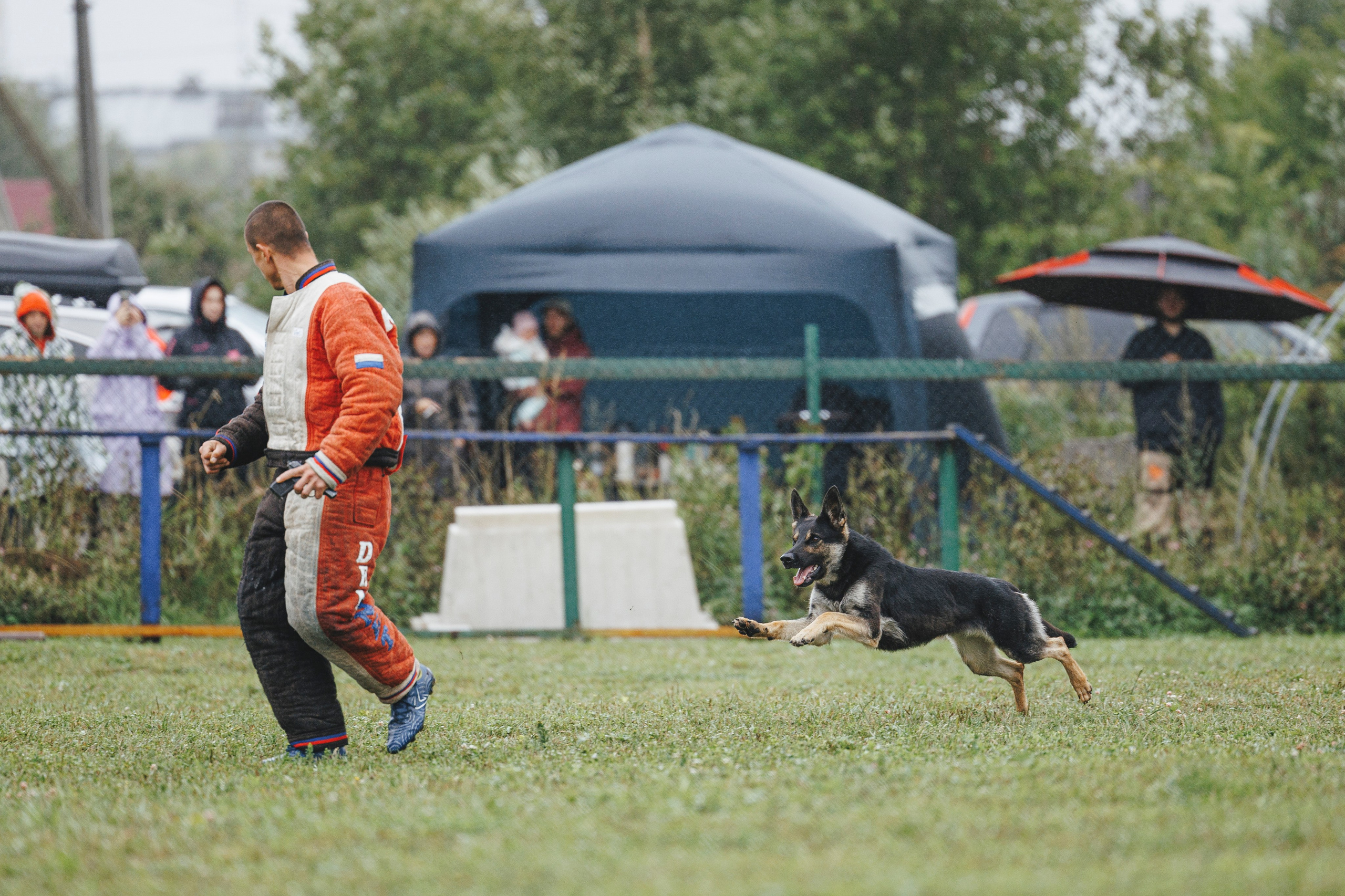 08.08.25-10.08.25 ЧР по мондьорингу г. Вологда. Фотограф-анималист Анна Маринич