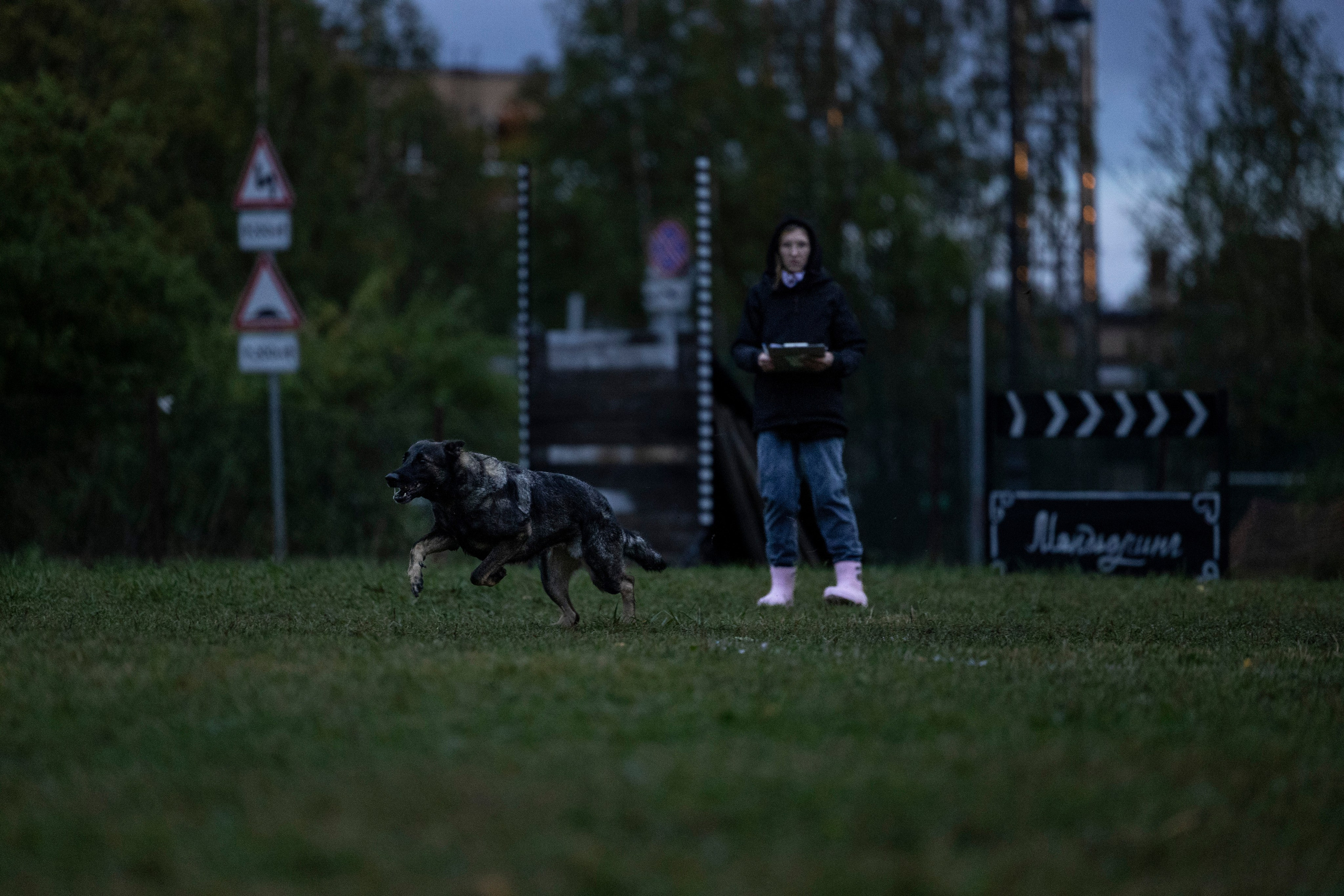Испытания по Мондьорингу г. Пушкин. Фотограф-анималист Анна Маринич