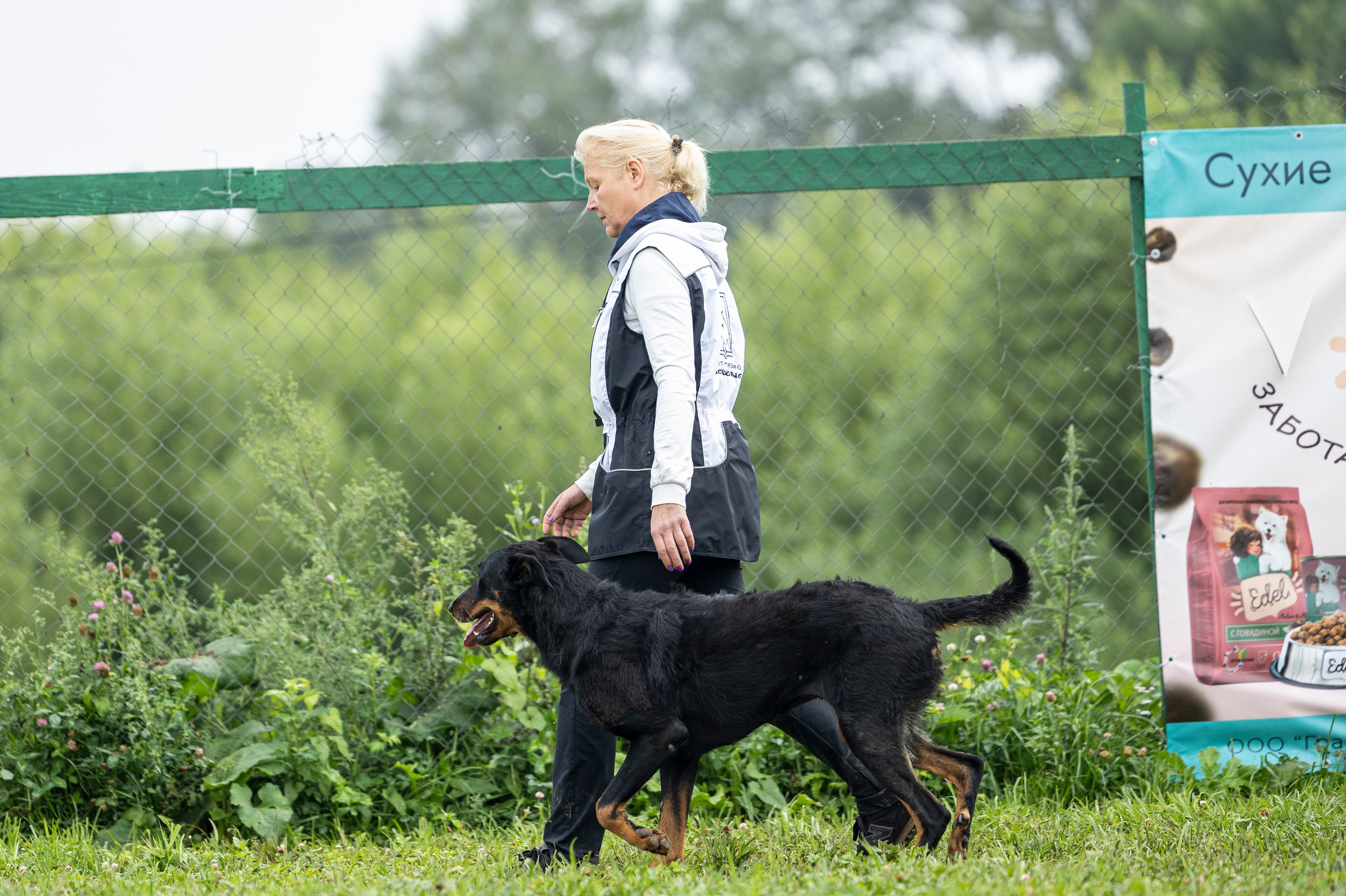 Соревнования по Мондьорингу г. Вологда 10-11.08.2024. Фотограф-анималист Анна Маринич