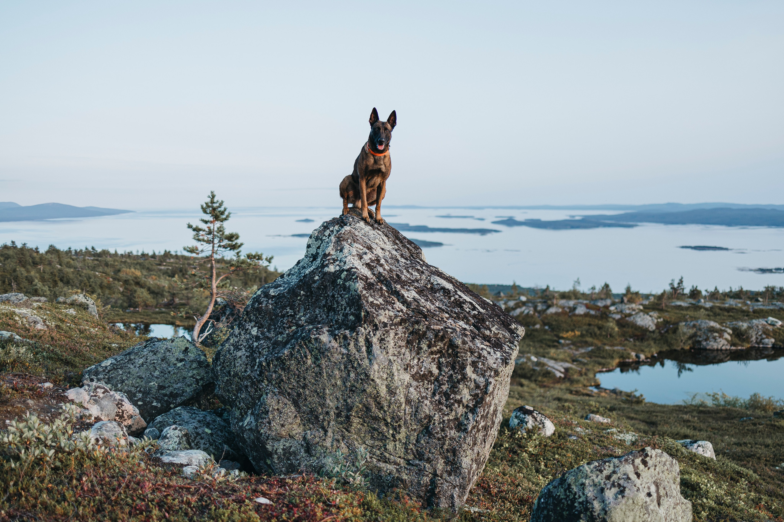 Горы. Фотограф-анималист Анна Маринич