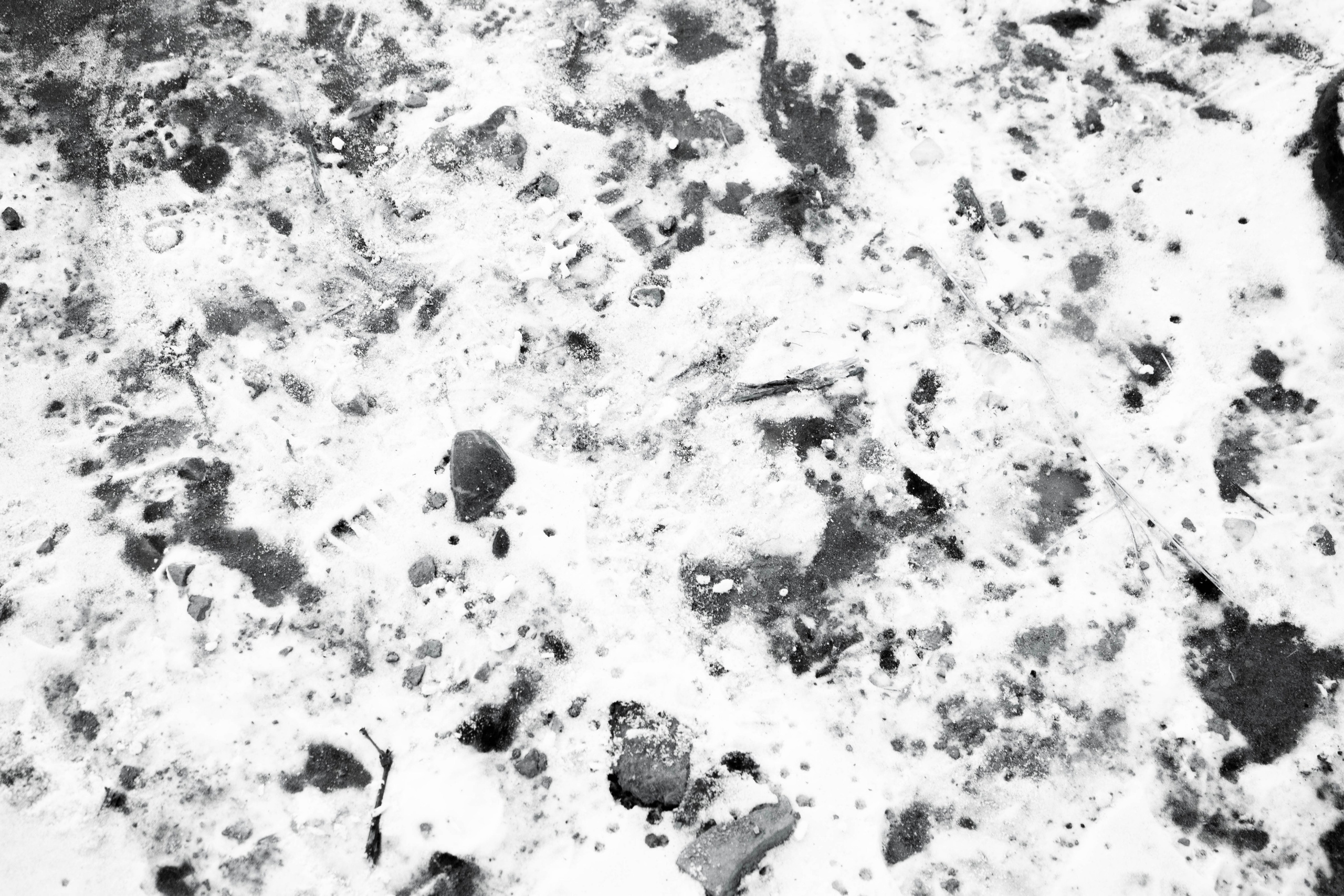 Noir of the Metropolis. Whoii art